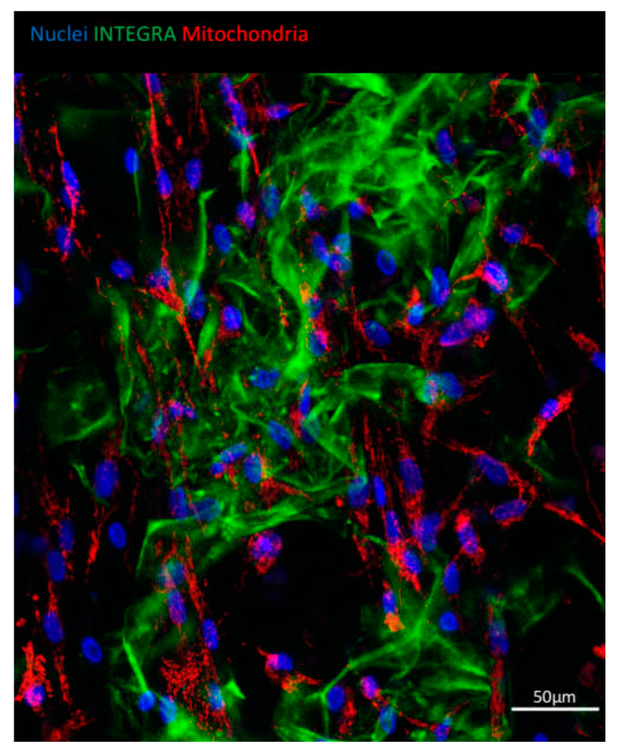 Bioengineering 07 00067 g003