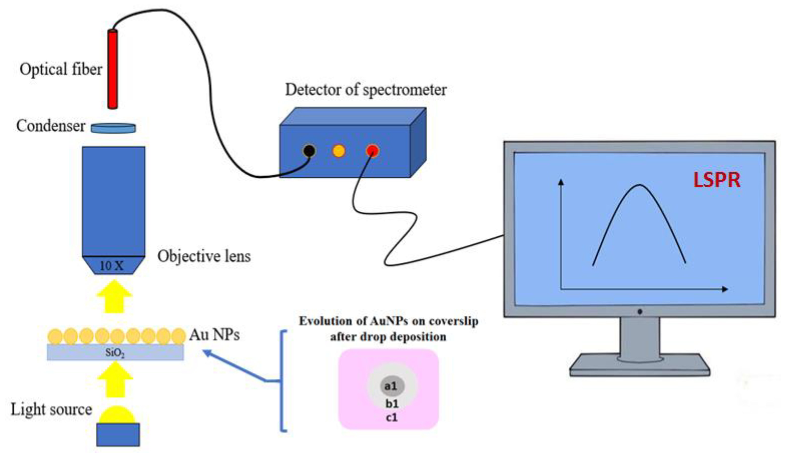 Bioengineering 07 00068 g001