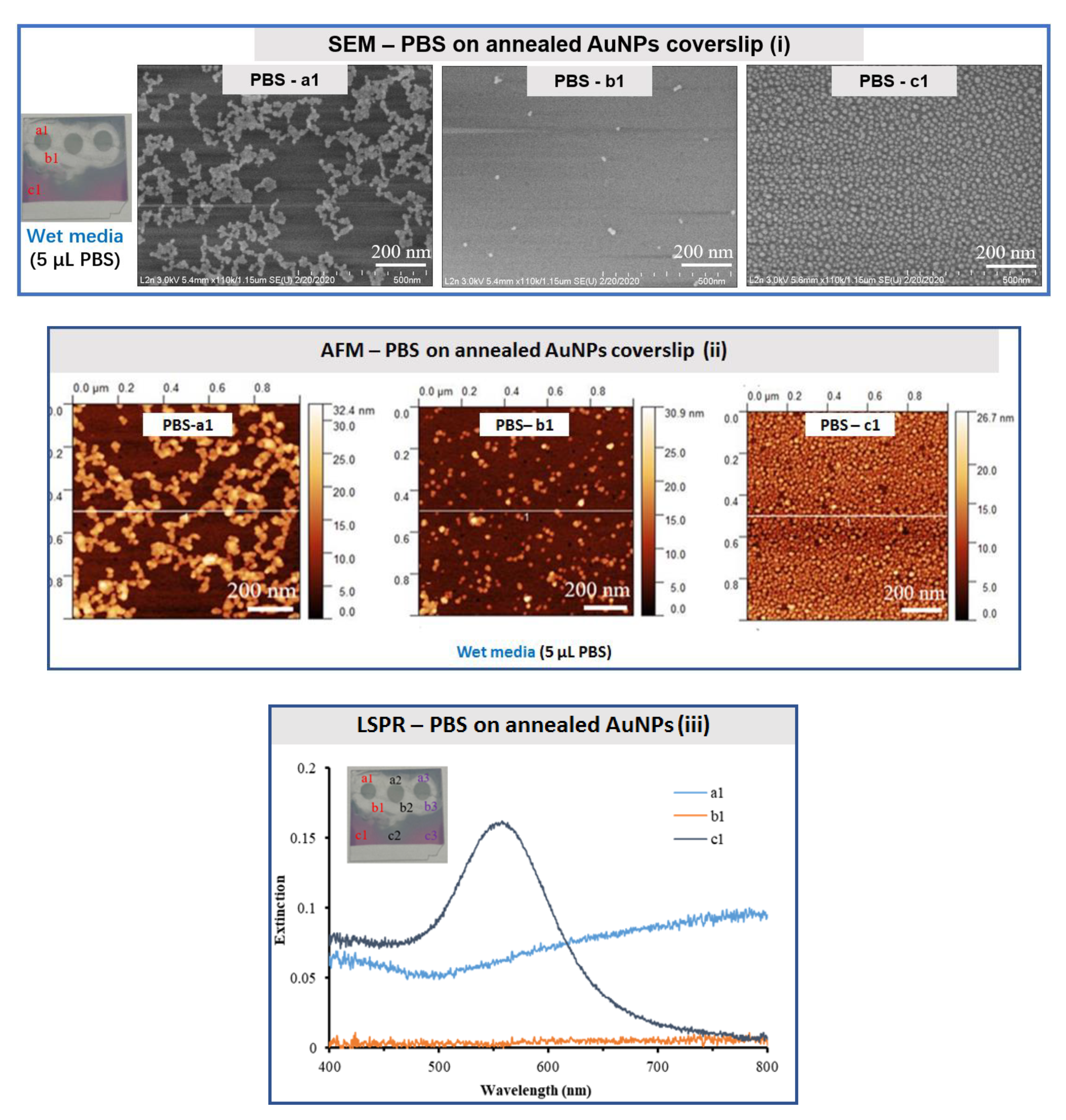 Bioengineering 07 00068 g006