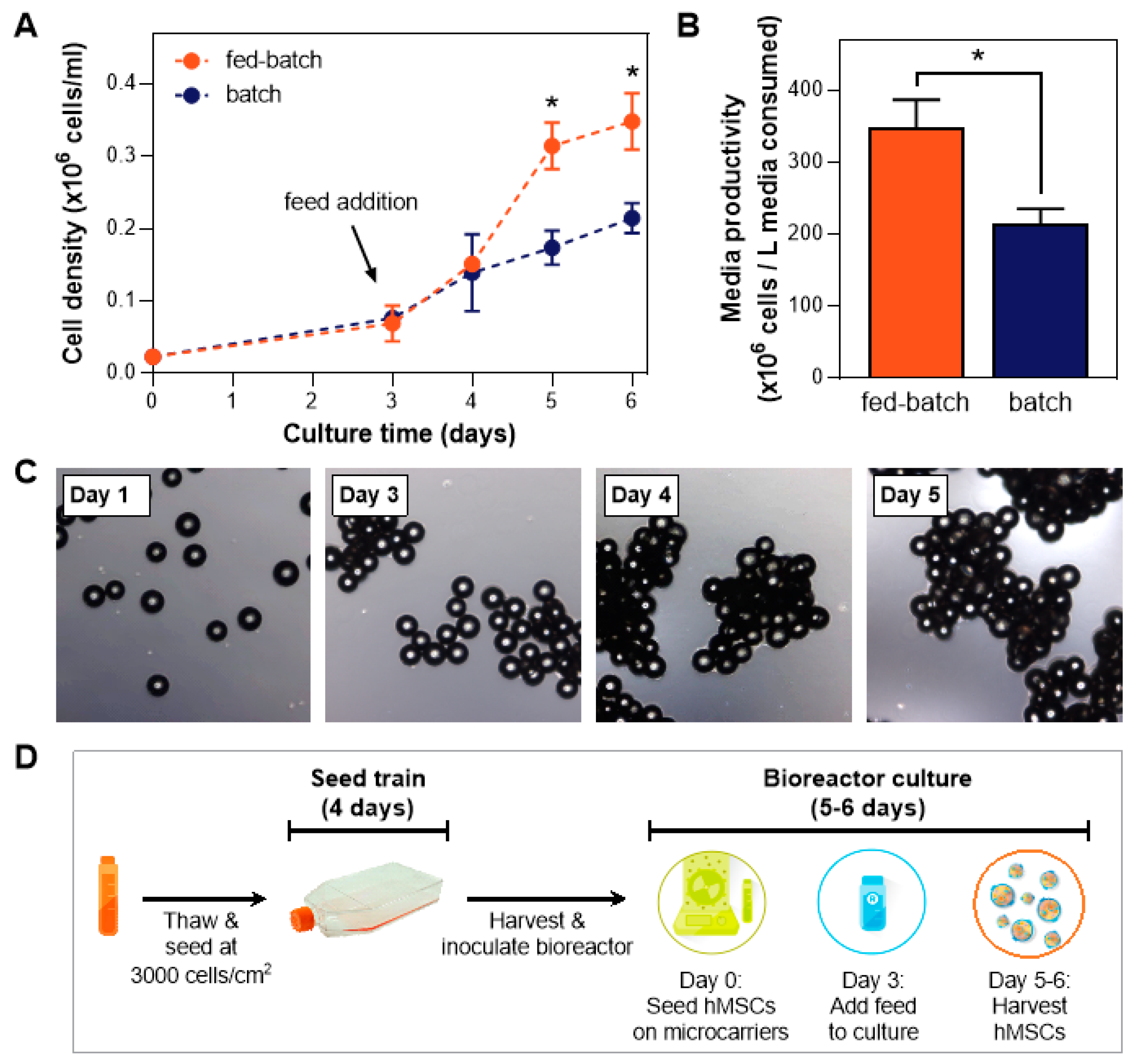 Bioengineering 07 00073 g001