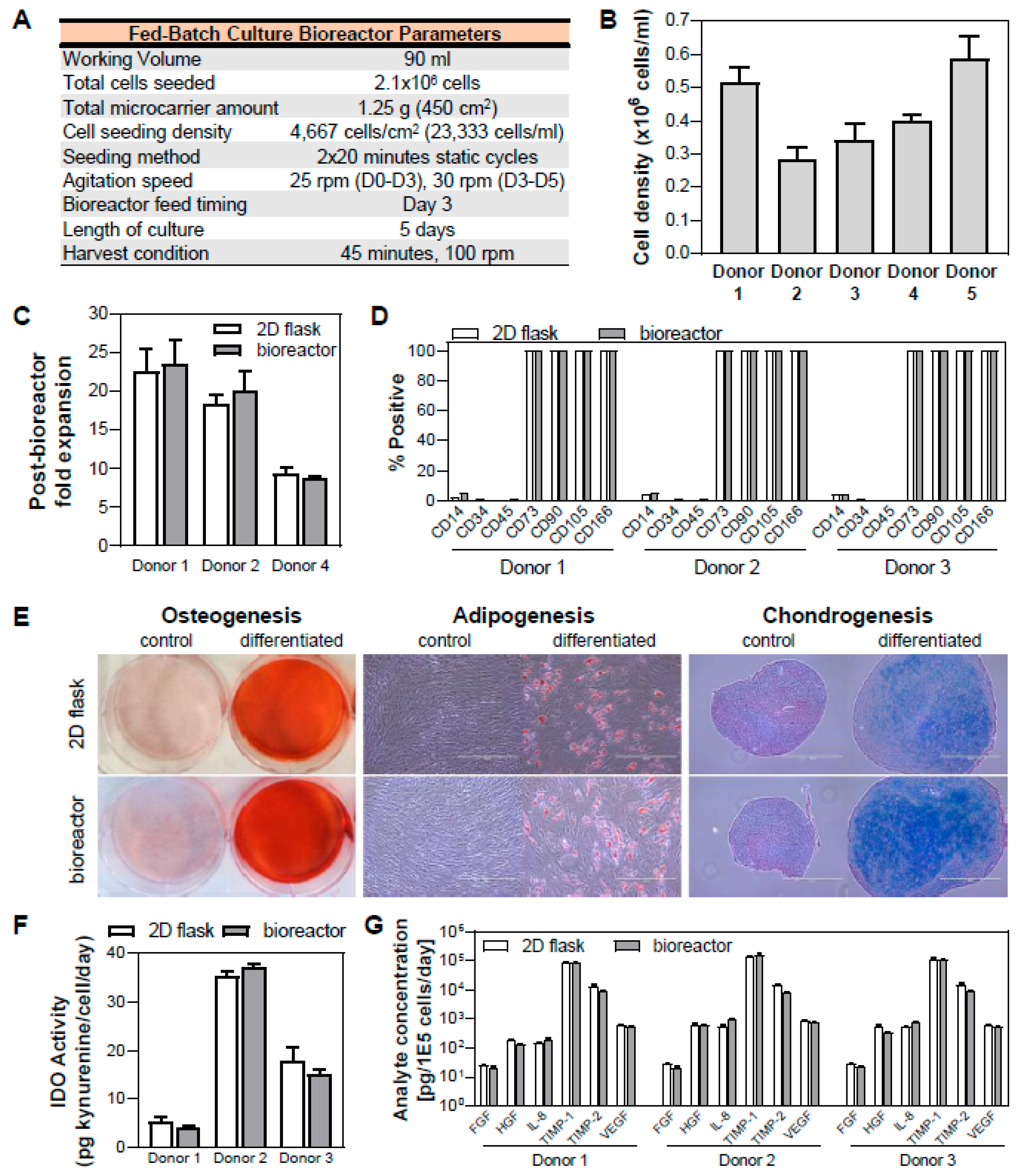 Bioengineering 07 00073 g007