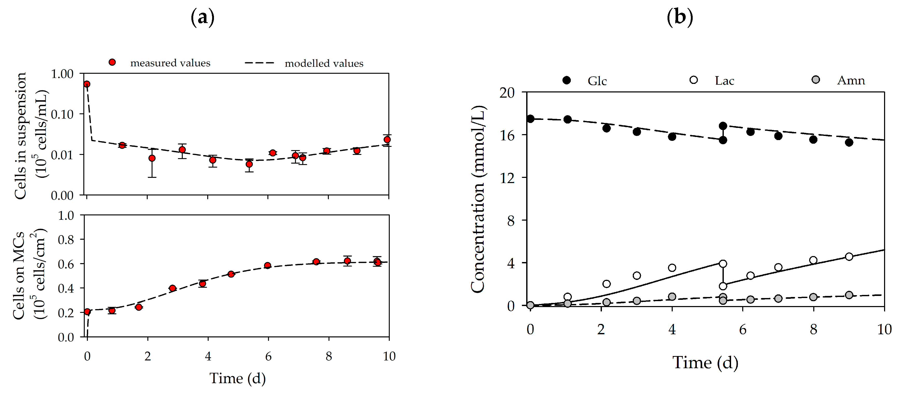 Bioengineering 07 00077 g004a Bioengineering 07 00077 g004a