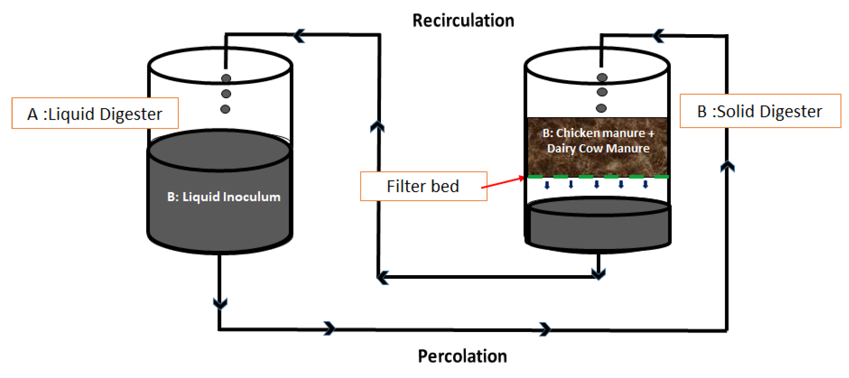 Bioengineering 07 00080 g001
