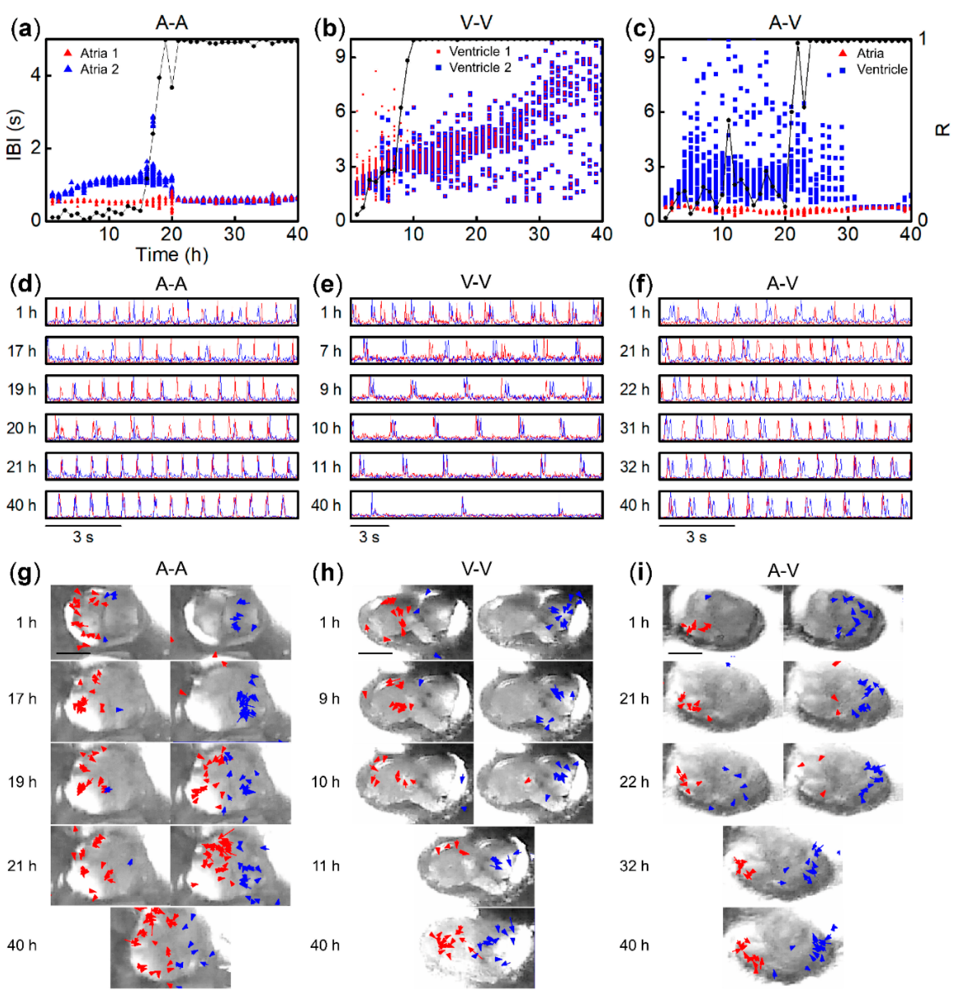 Bioengineering 07 00081 g002 Bioengineering 07 00081 g002