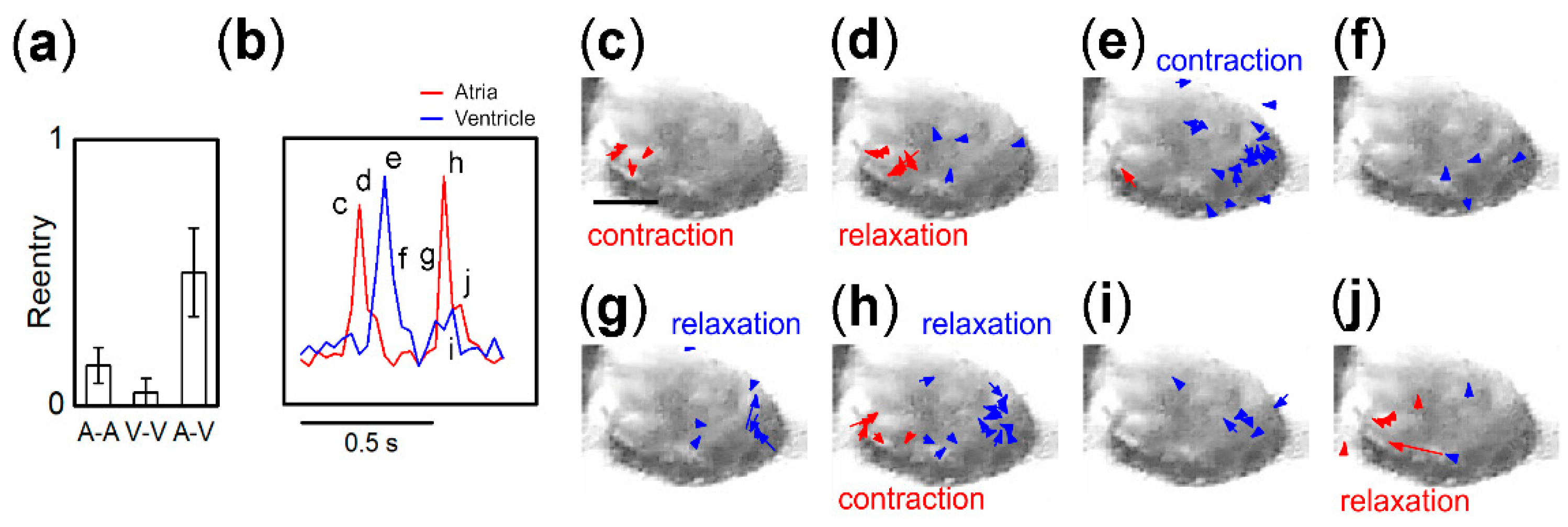 Bioengineering 07 00081 g005 Bioengineering 07 00081 g005