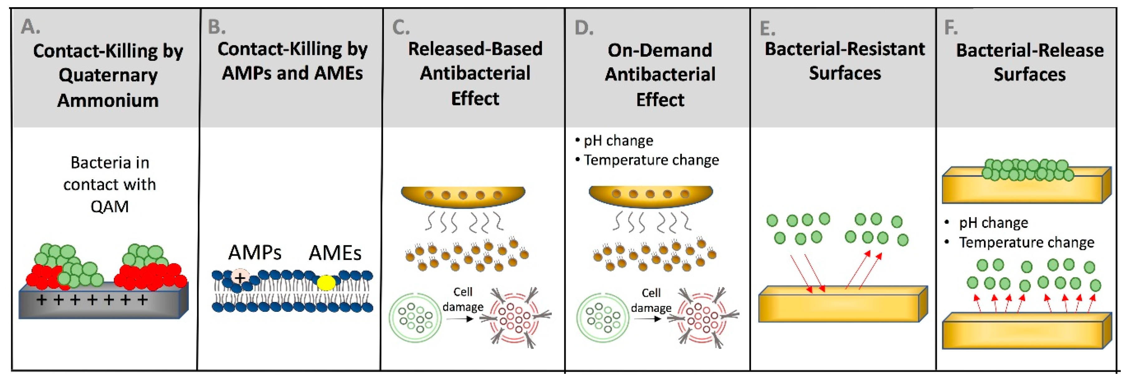 Bioengineering 07 00083 g004