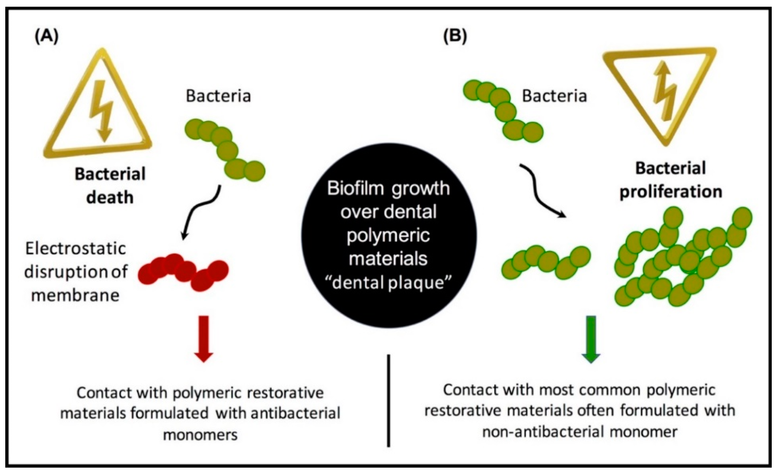 Bioengineering 07 00083 g005