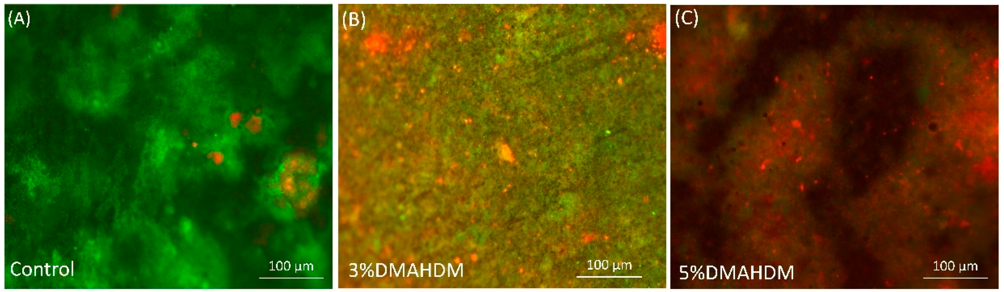 Bioengineering 07 00083 g007