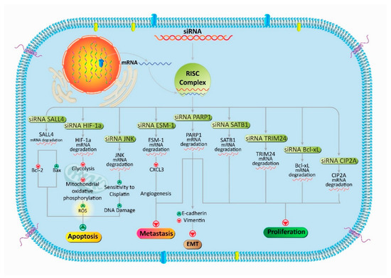 Progress in Delivery of siRNA-Based Therapeutics Employing