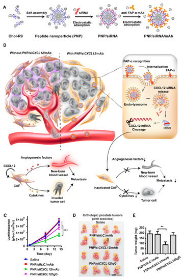 Progress in Delivery of siRNA-Based Therapeutics Employing Progress in Delivery of siRNA-Based Therapeutics Employing