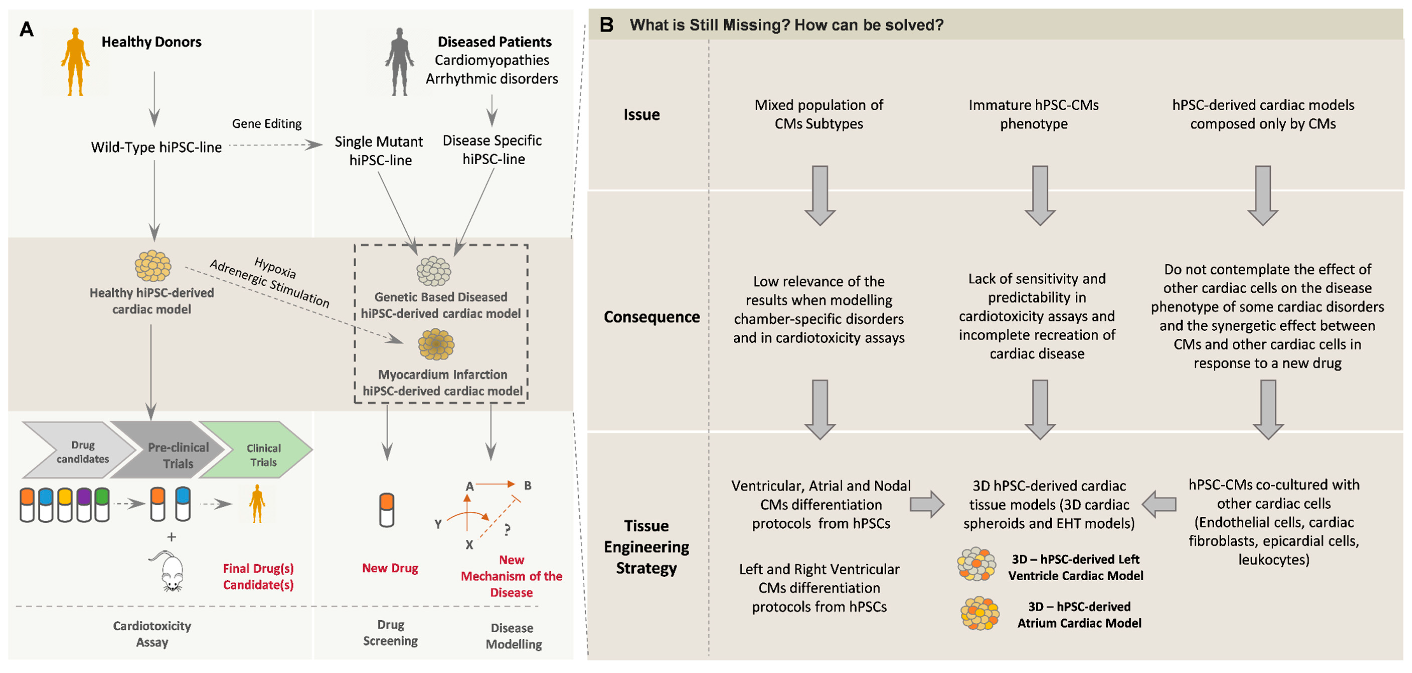 Bioengineering 07 00092 g005 Bioengineering 07 00092 g005