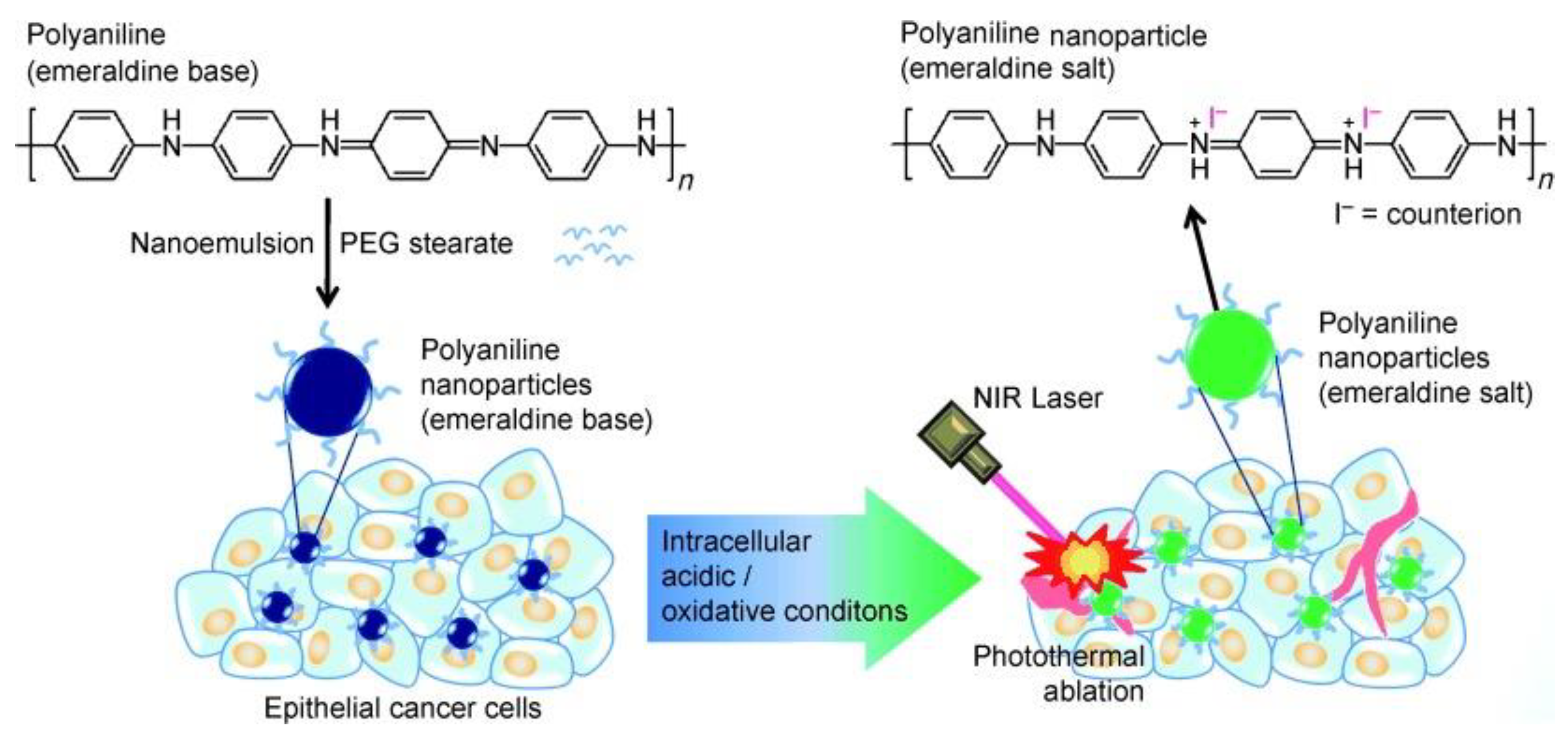 Bioengineering 07 00094 g002 Bioengineering 07 00094 g002
