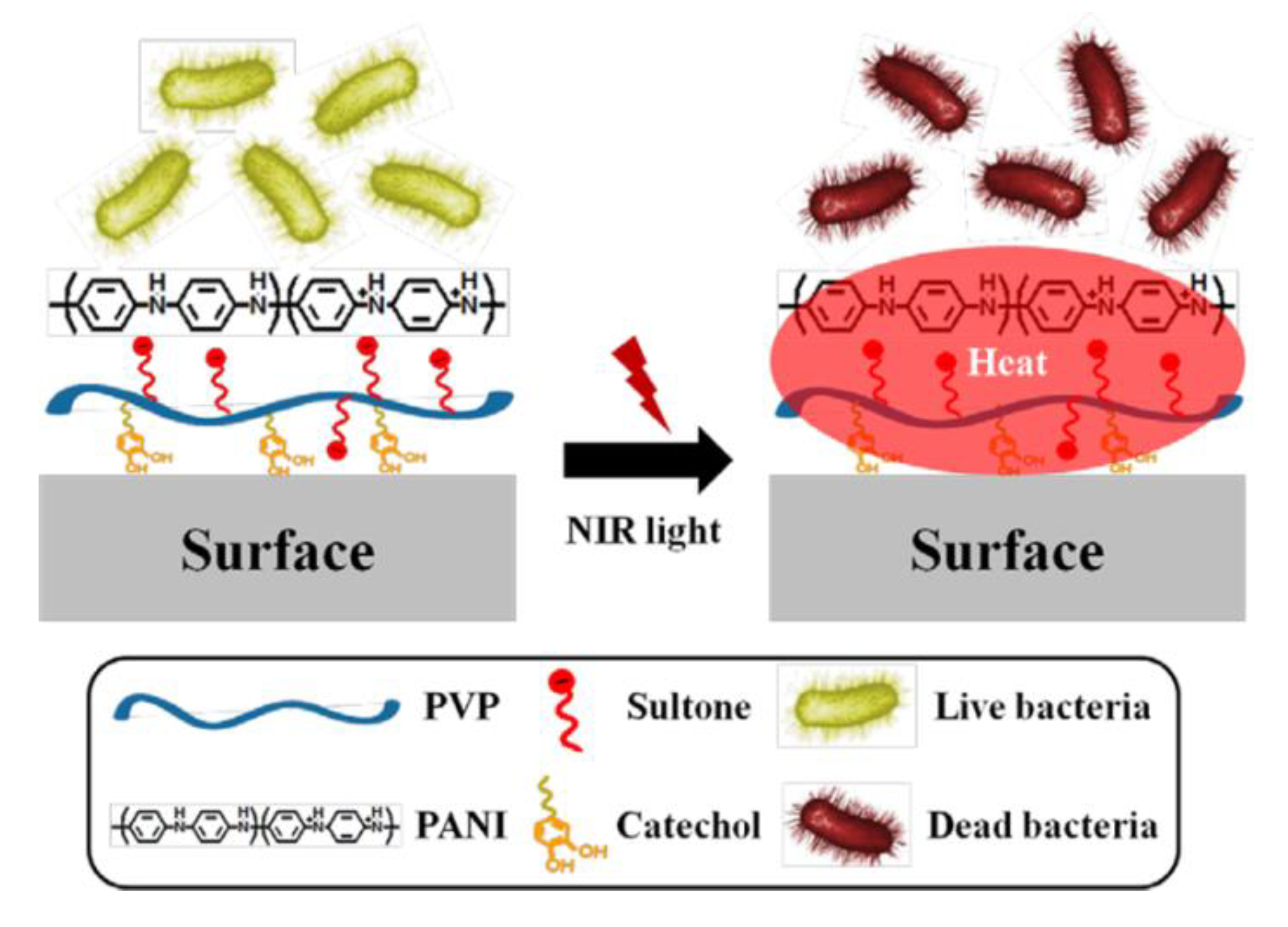 Bioengineering 07 00094 g006 Bioengineering 07 00094 g006