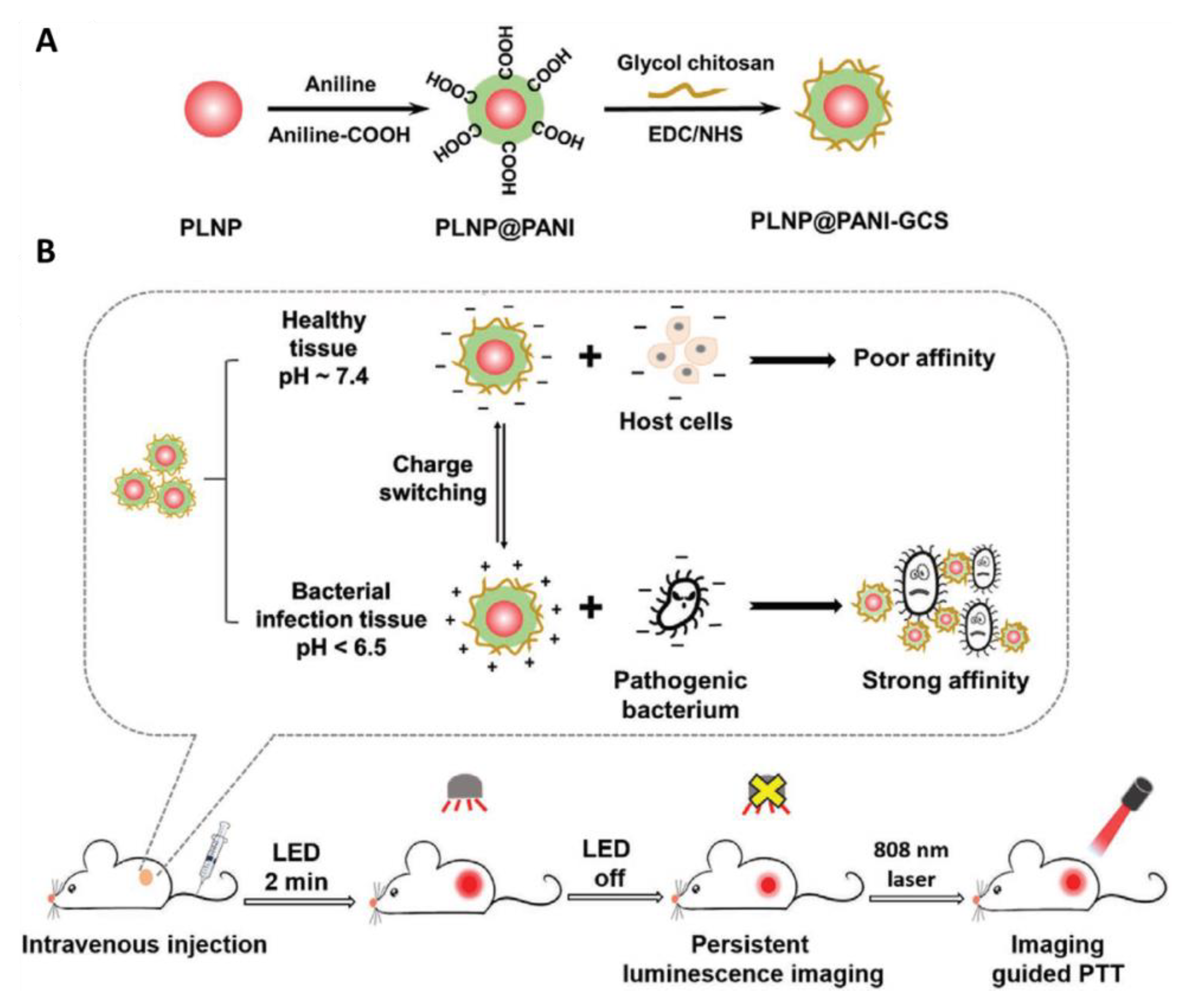 Bioengineering 07 00094 g007 Bioengineering 07 00094 g007