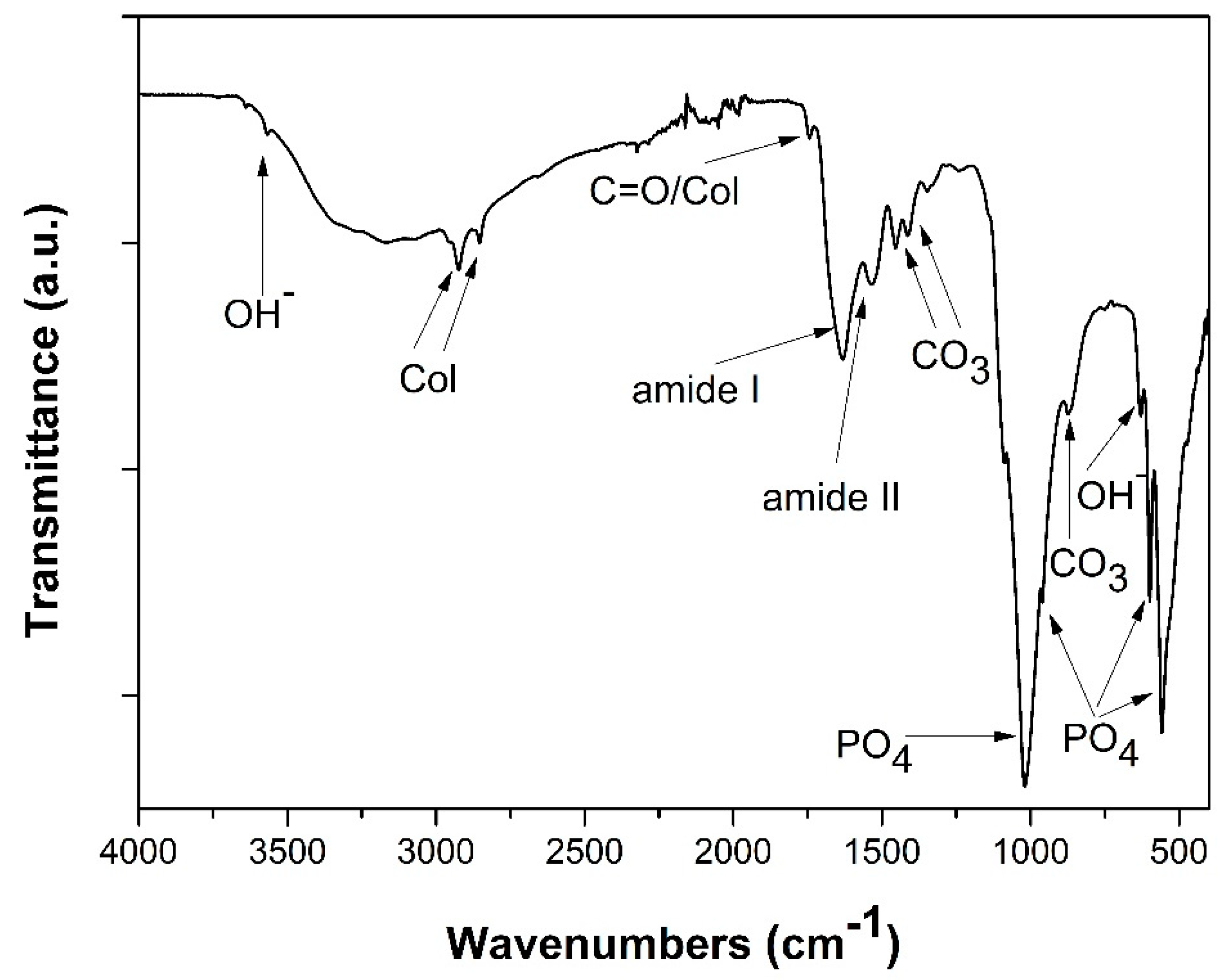 Bioengineering 07 00096 g003 Bioengineering 07 00096 g003