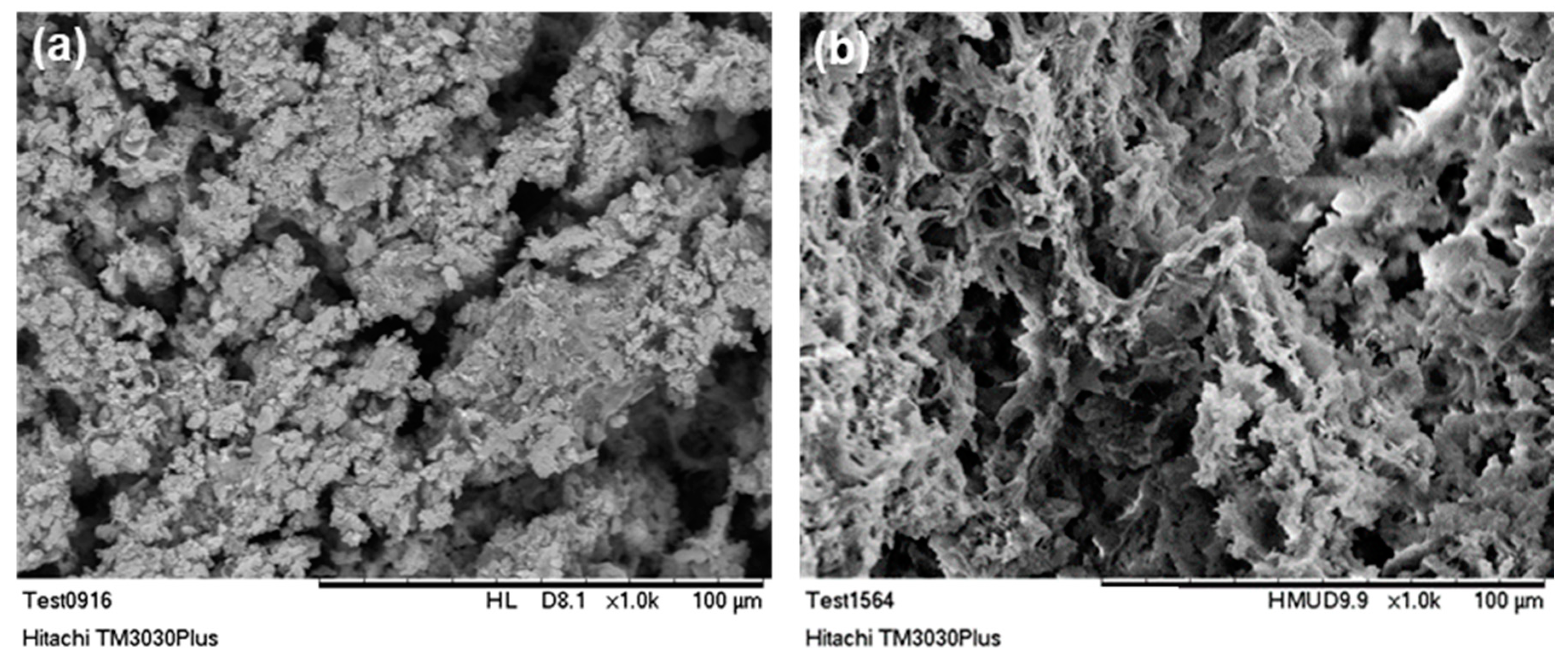 Bioengineering 07 00096 g005 Bioengineering 07 00096 g005