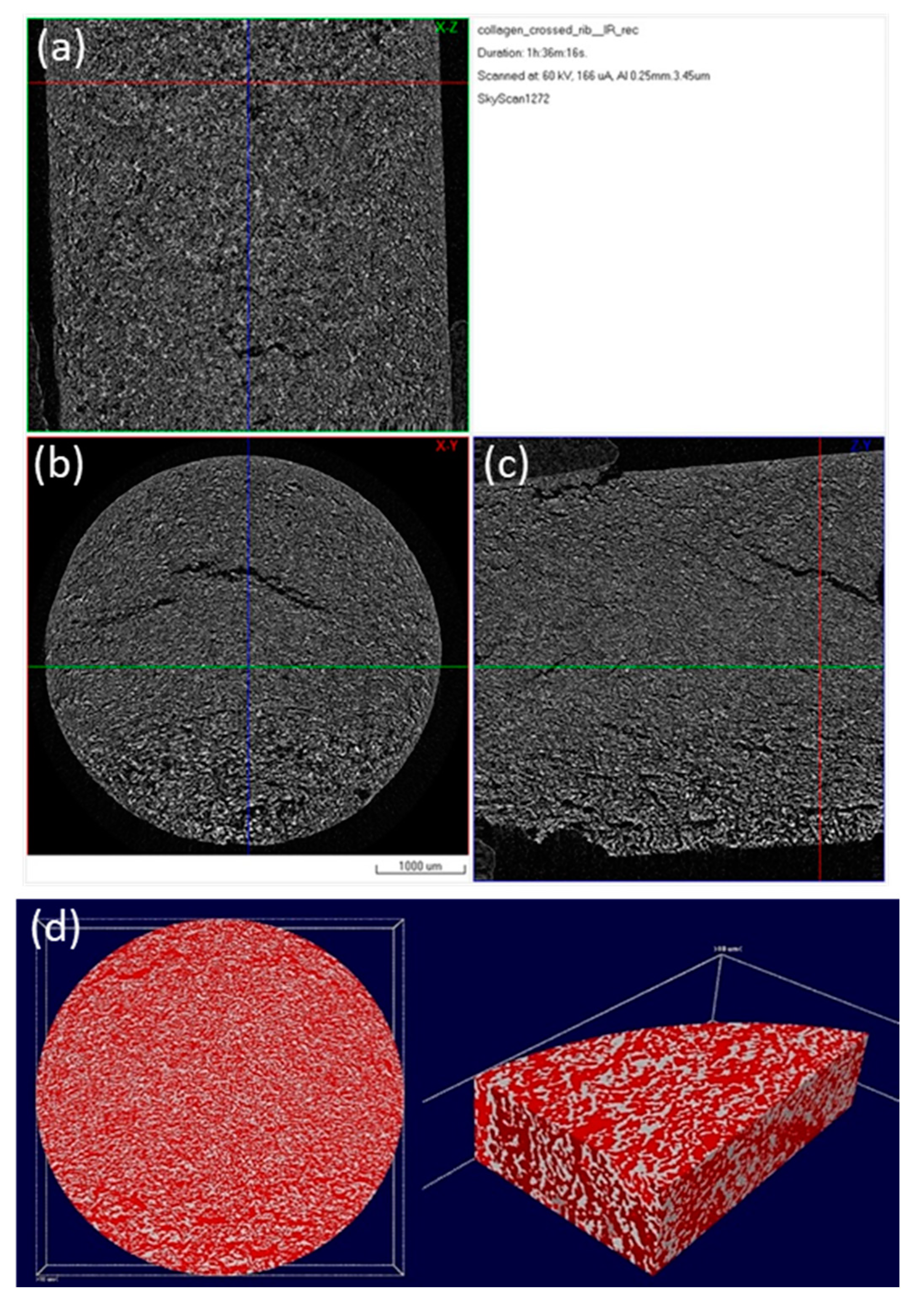 Bioengineering 07 00096 g007 Bioengineering 07 00096 g007