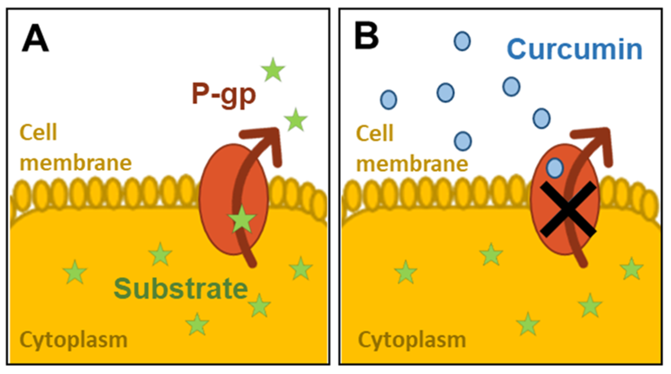 Bioengineering 07 00100 g001 Bioengineering 07 00100 g001