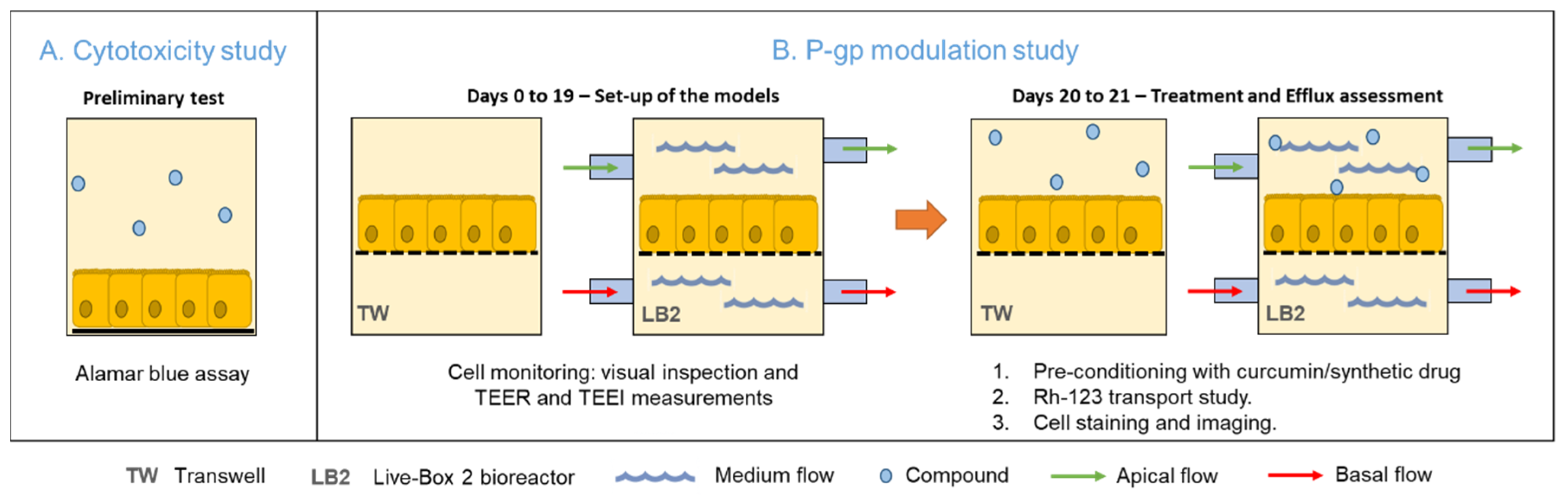 Bioengineering 07 00100 g002 Bioengineering 07 00100 g002