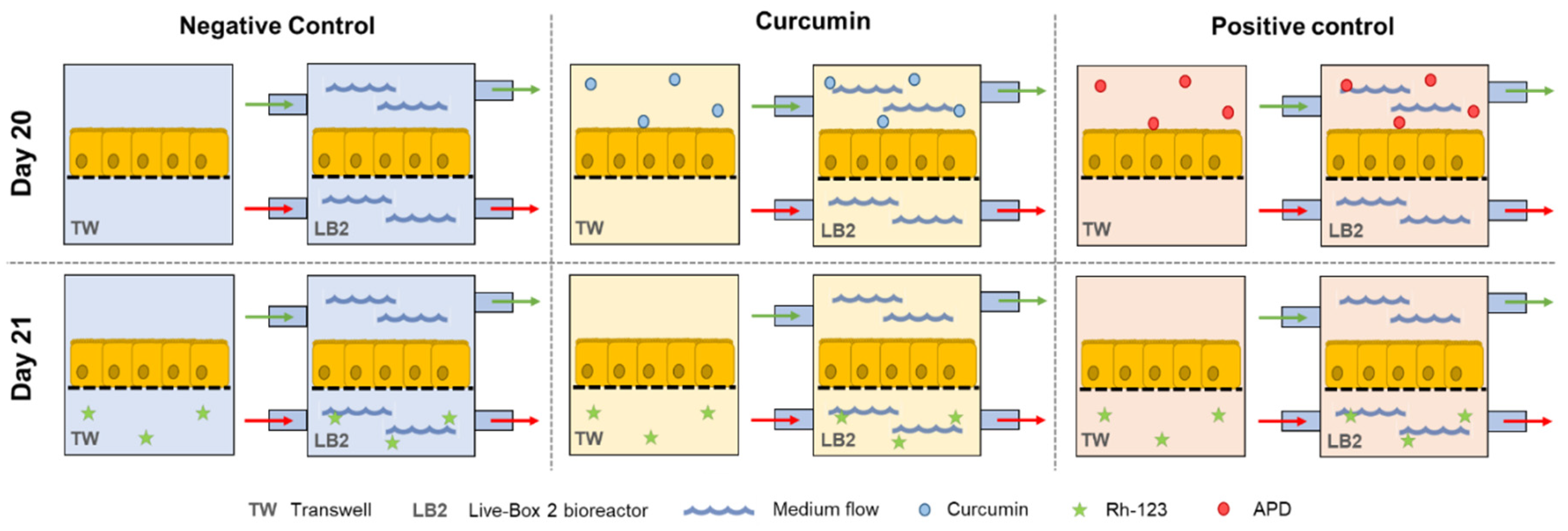 Bioengineering 07 00100 g003 Bioengineering 07 00100 g003