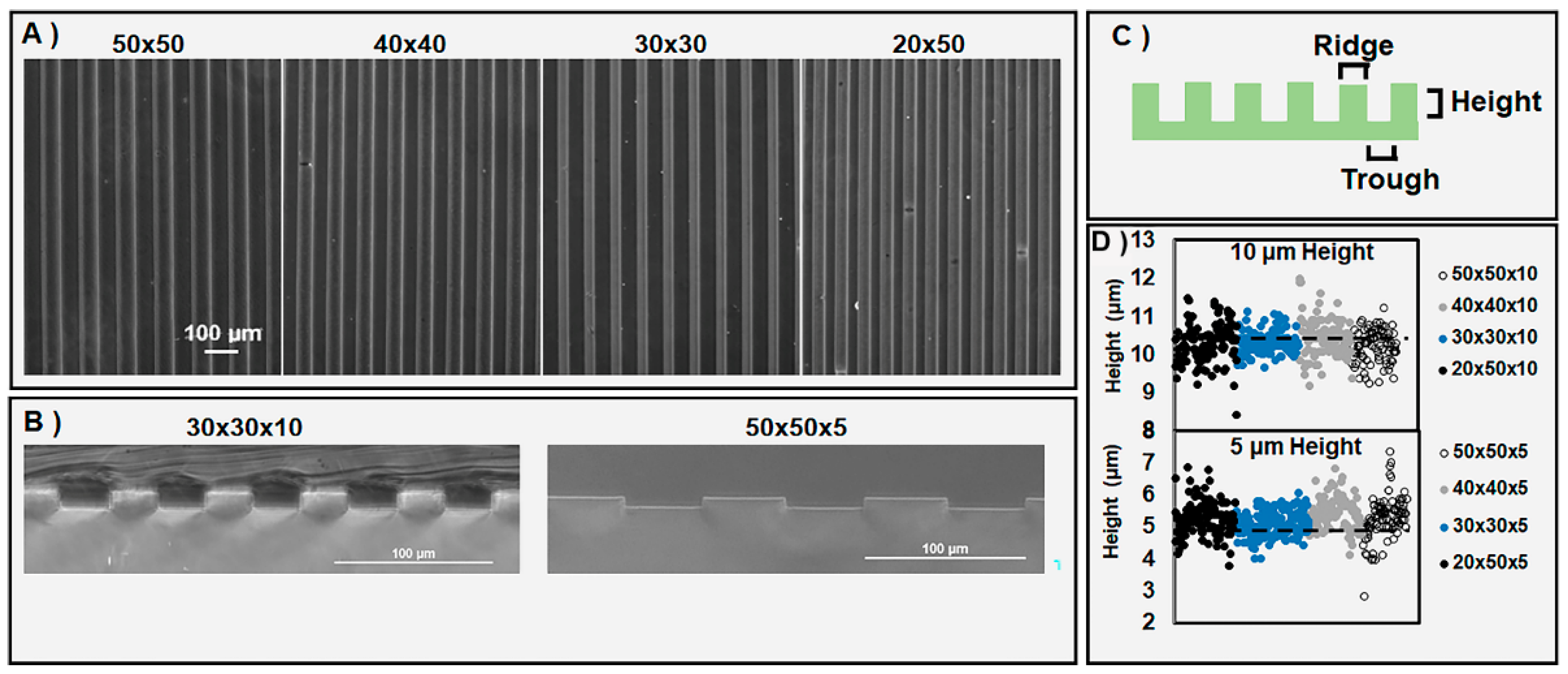 Bioengineering 07 00102 g001