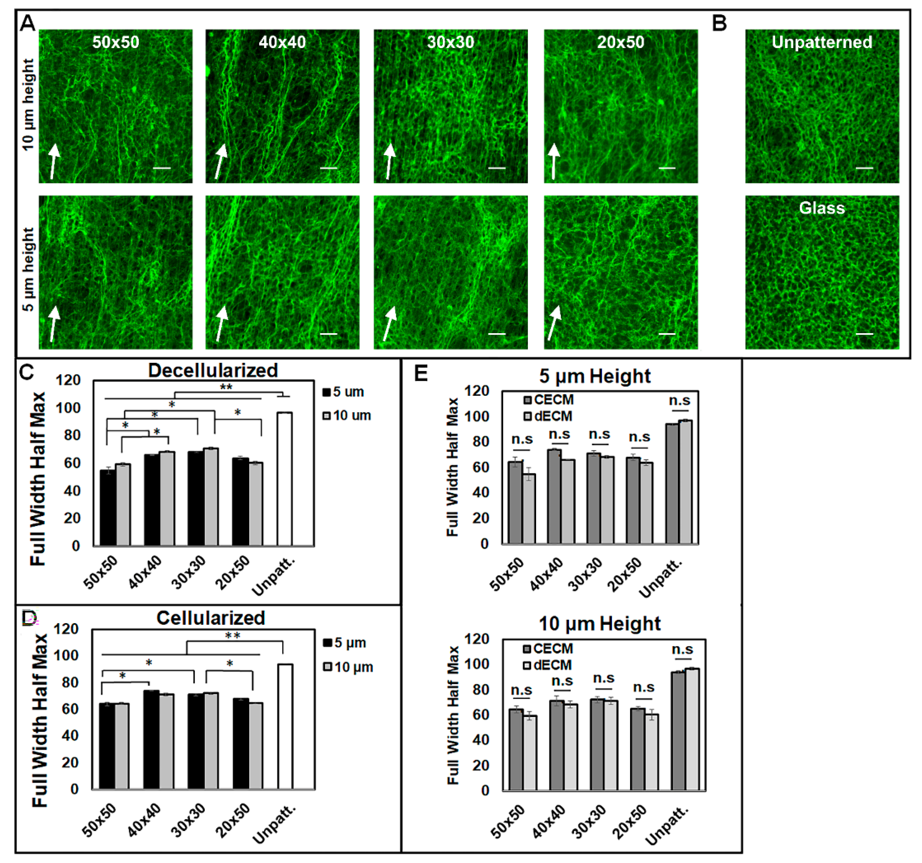 Bioengineering 07 00102 g005