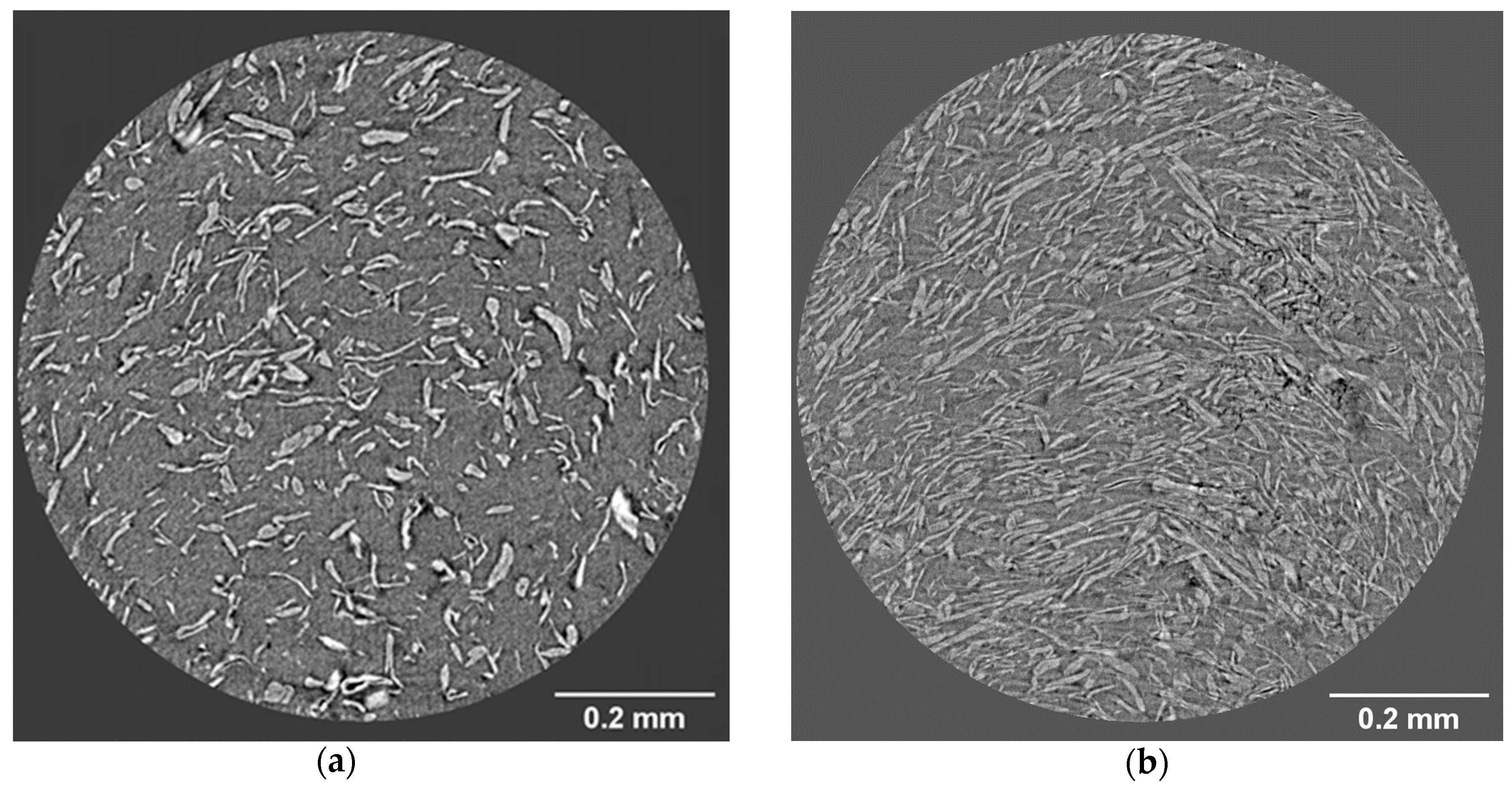 Bioengineering 07 00103 g007