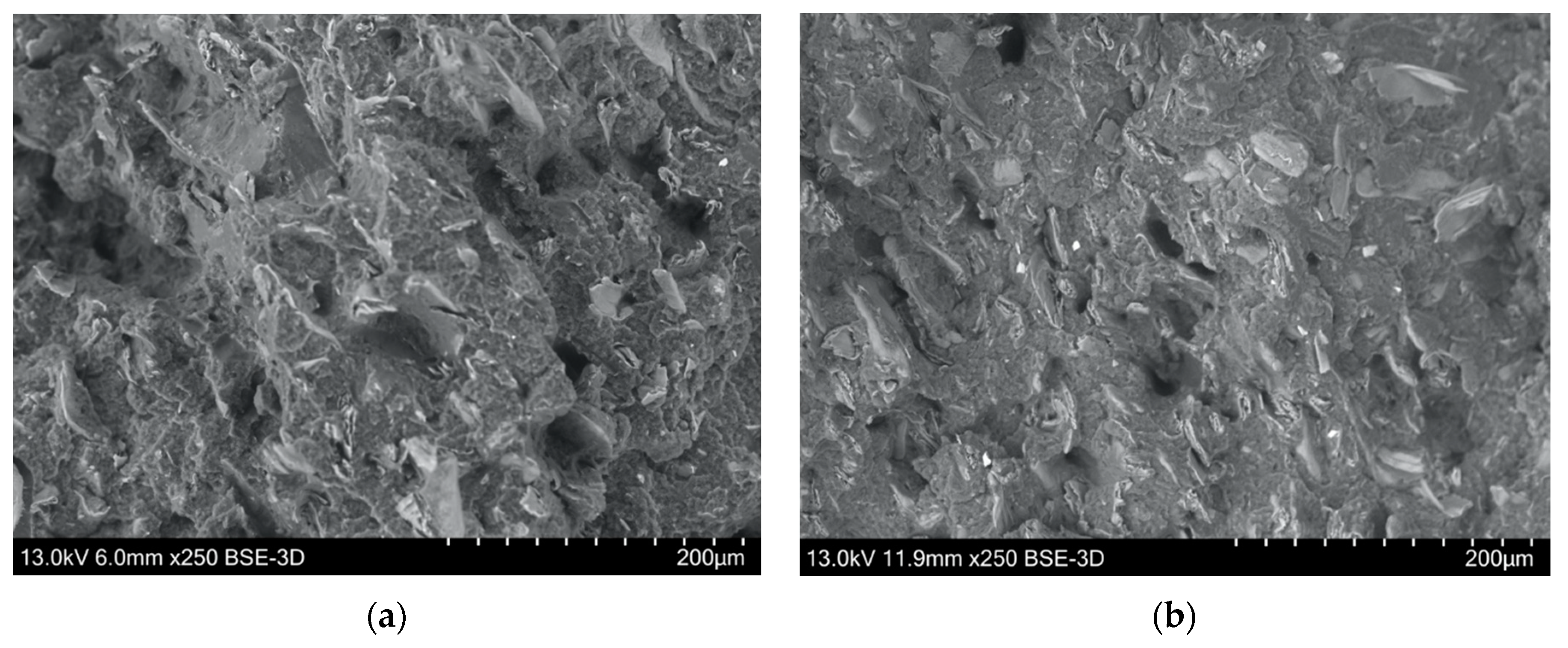 Bioengineering 07 00103 g008