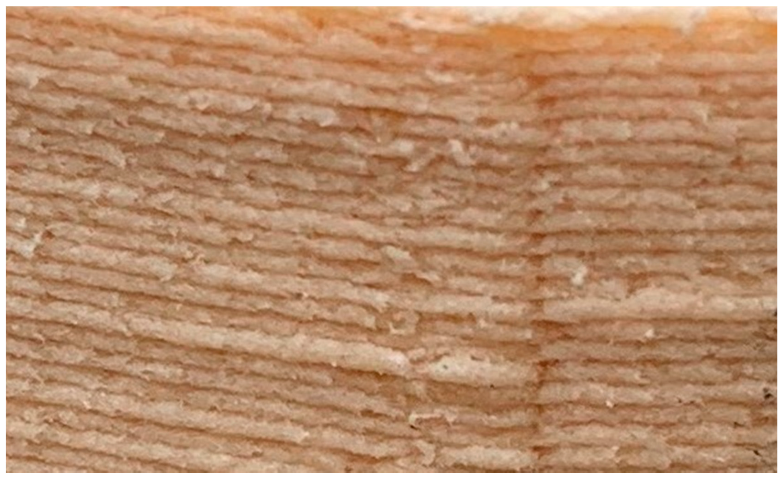 Bioengineering 07 00103 g012