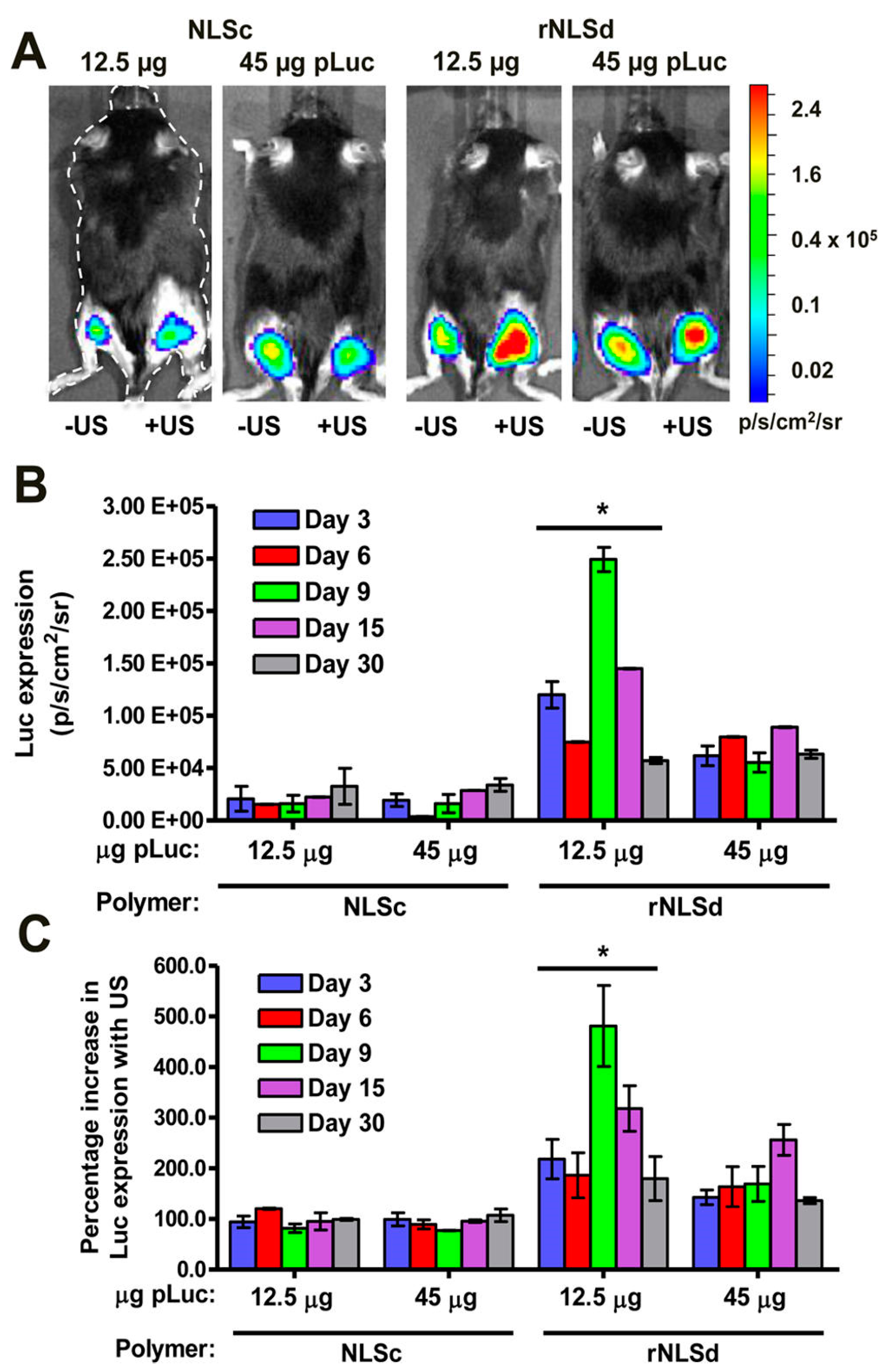Bioengineering 07 00107 g004 Bioengineering 07 00107 g004