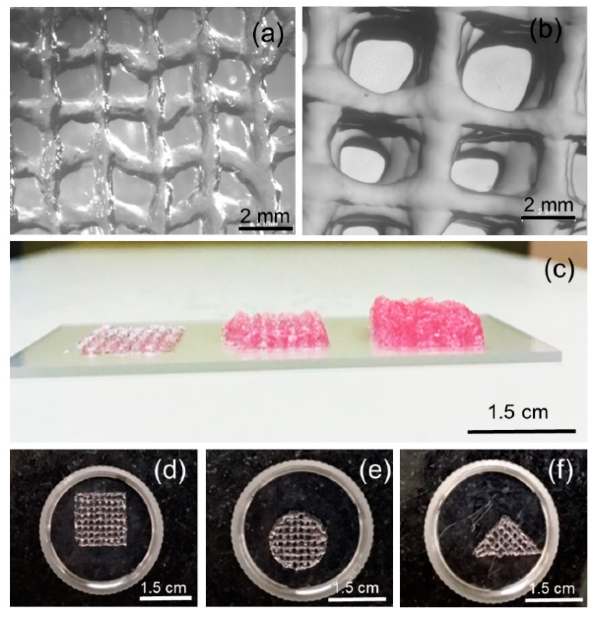 Bioengineering 07 00108 g006