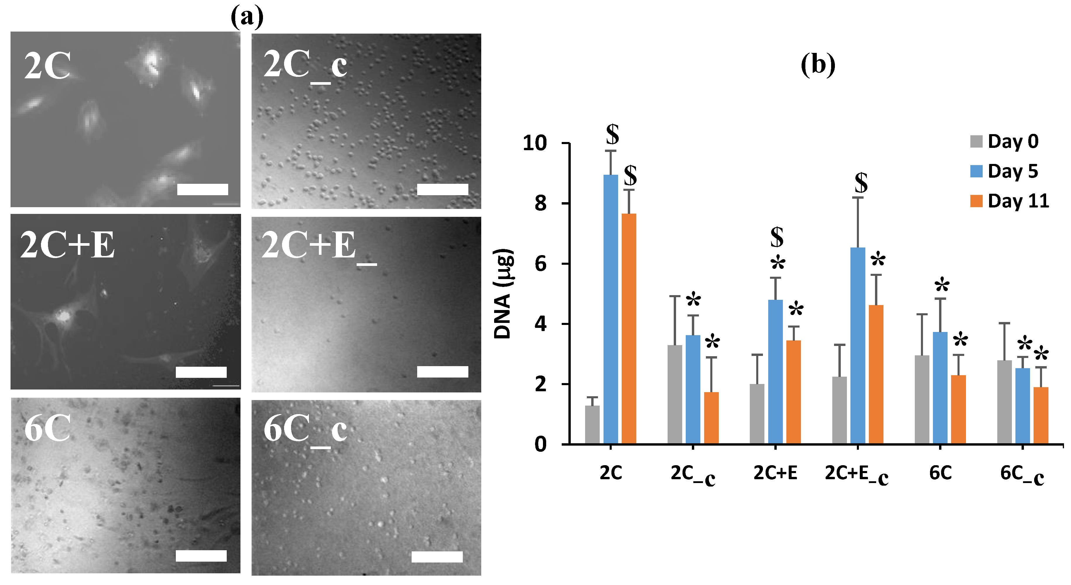 Bioengineering 07 00110 g004 Bioengineering 07 00110 g004