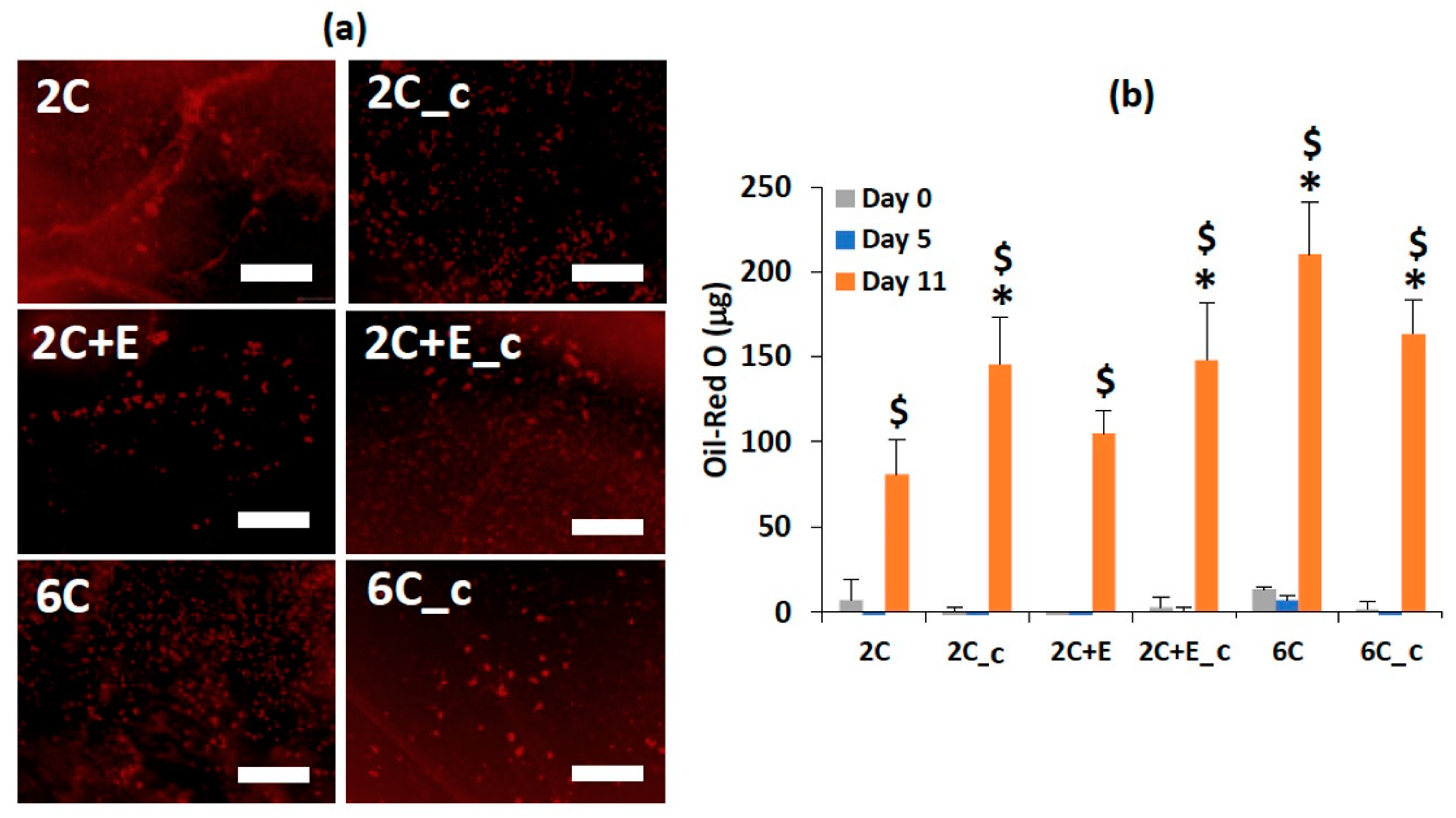 Bioengineering 07 00110 g005 Bioengineering 07 00110 g005