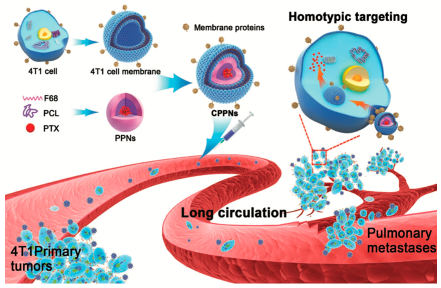 Bioengineering 07 00111 g002 Bioengineering 07 00111 g002