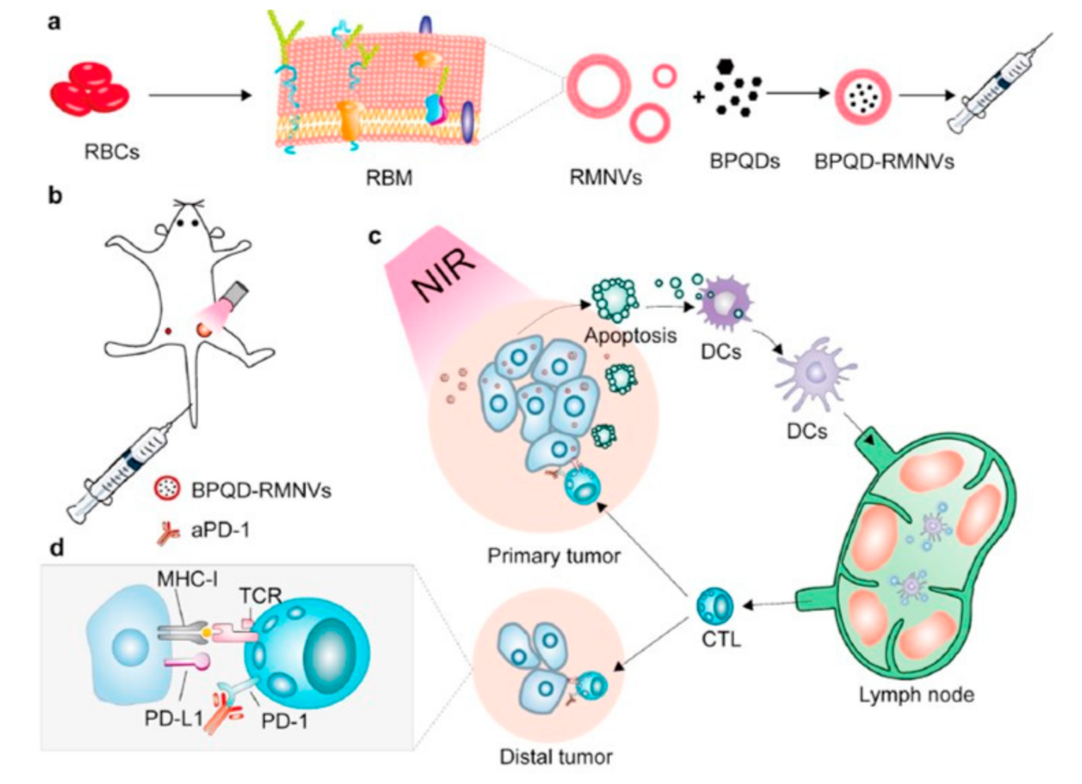 Bioengineering 07 00111 g006 Bioengineering 07 00111 g006