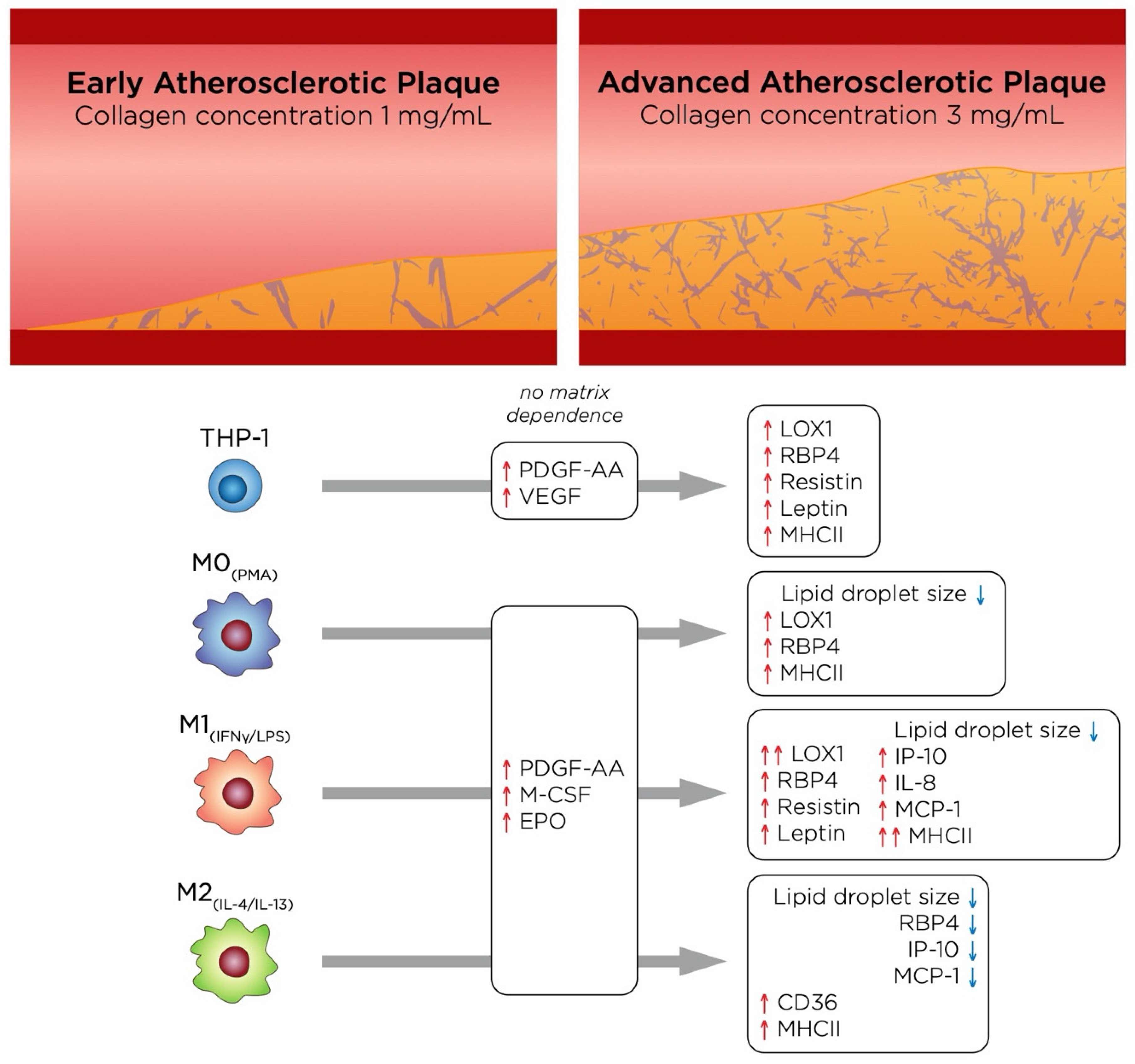 Bioengineering 07 00113 g007 Bioengineering 07 00113 g007