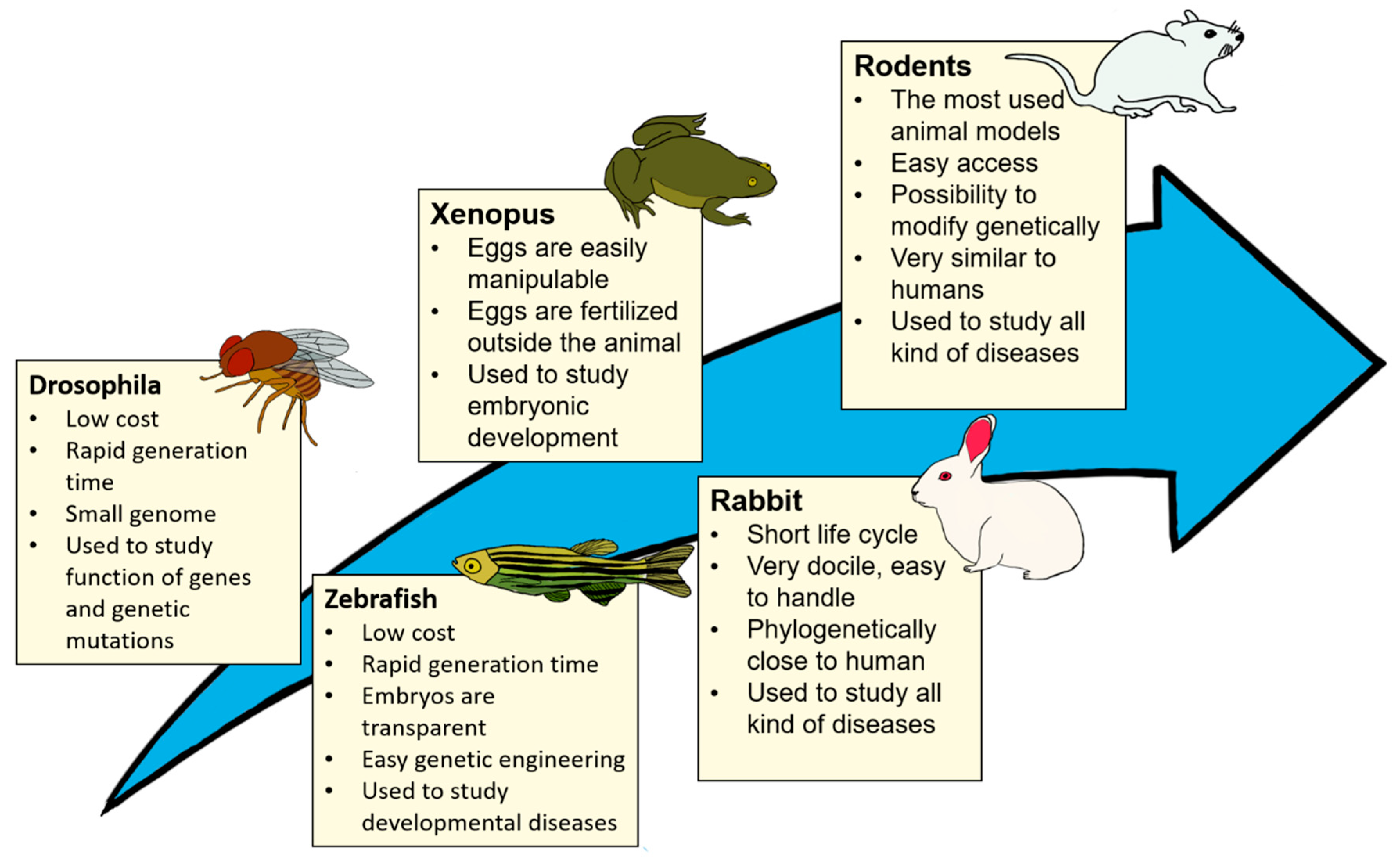 Life Cycle - 9 Food Tech