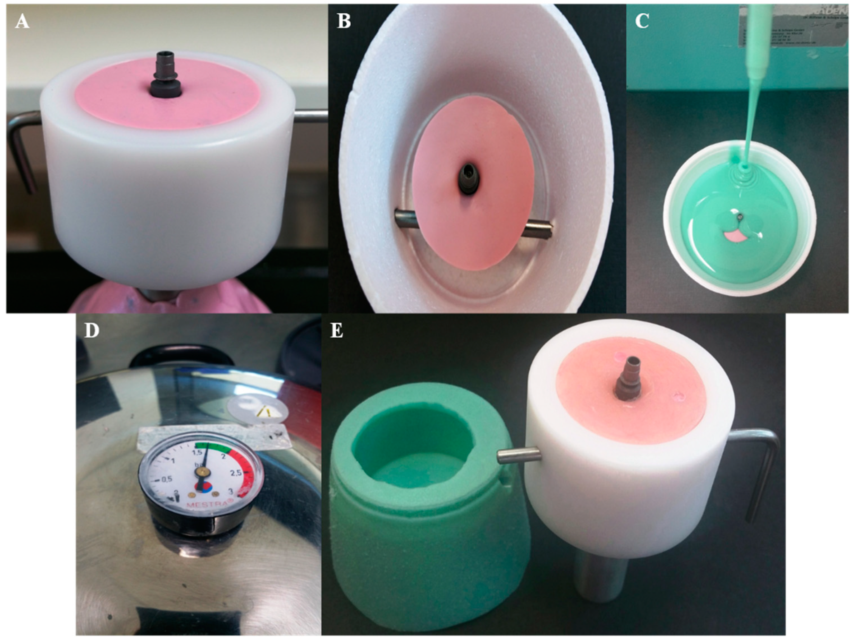 Bioengineering 07 00117 g002 Bioengineering 07 00117 g002