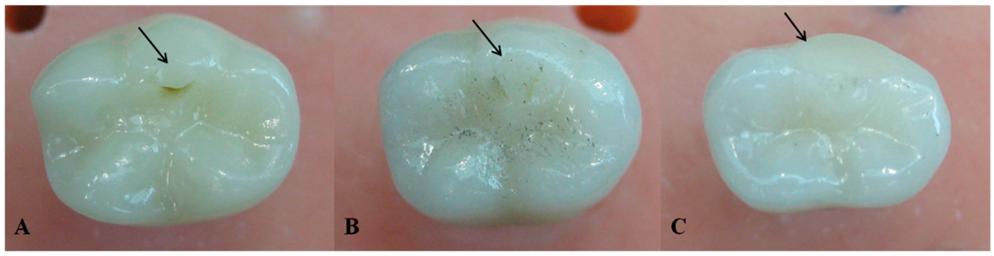 Bioengineering 07 00117 g005 Bioengineering 07 00117 g005