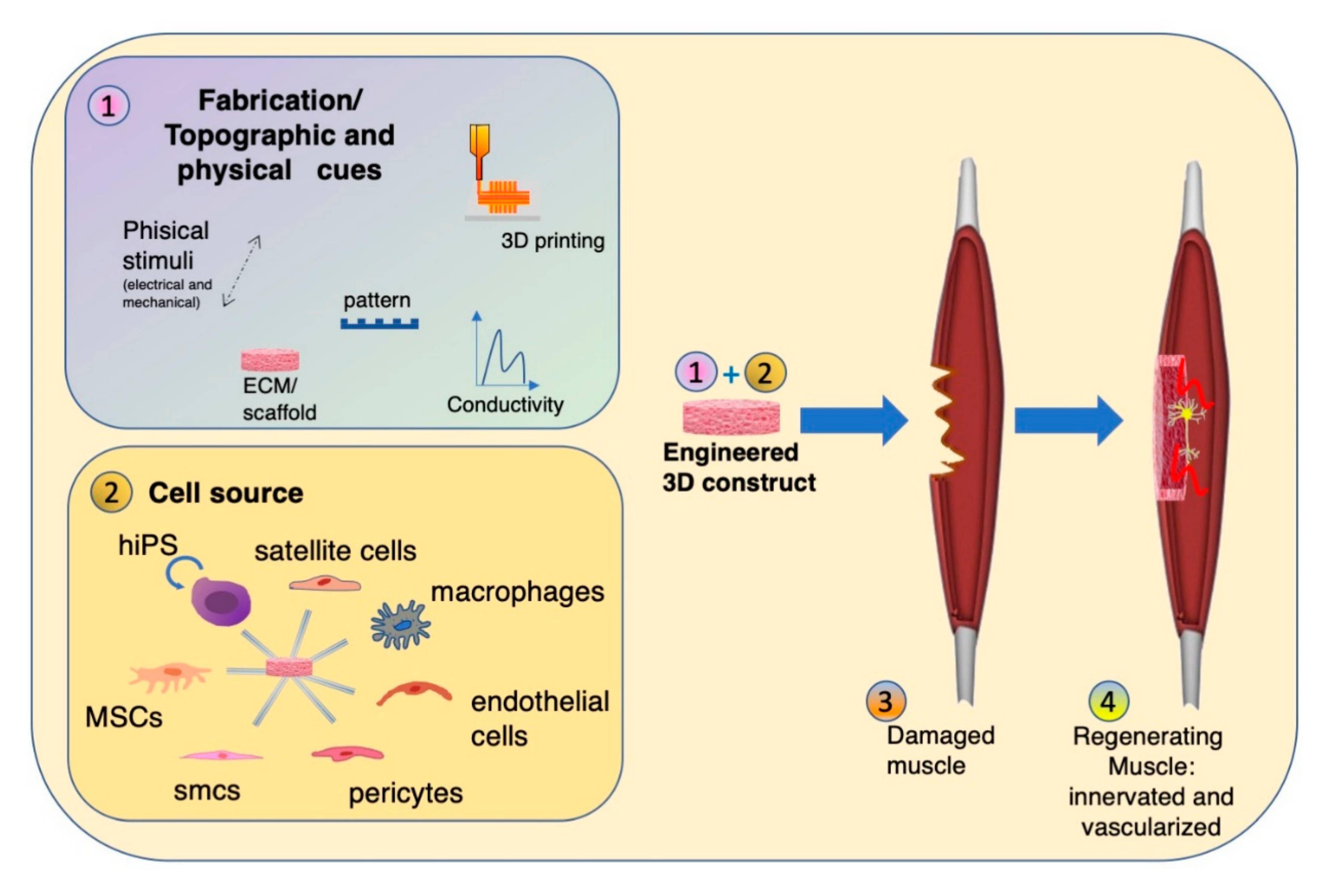 Bioengineering 07 00118 g002 Bioengineering 07 00118 g002