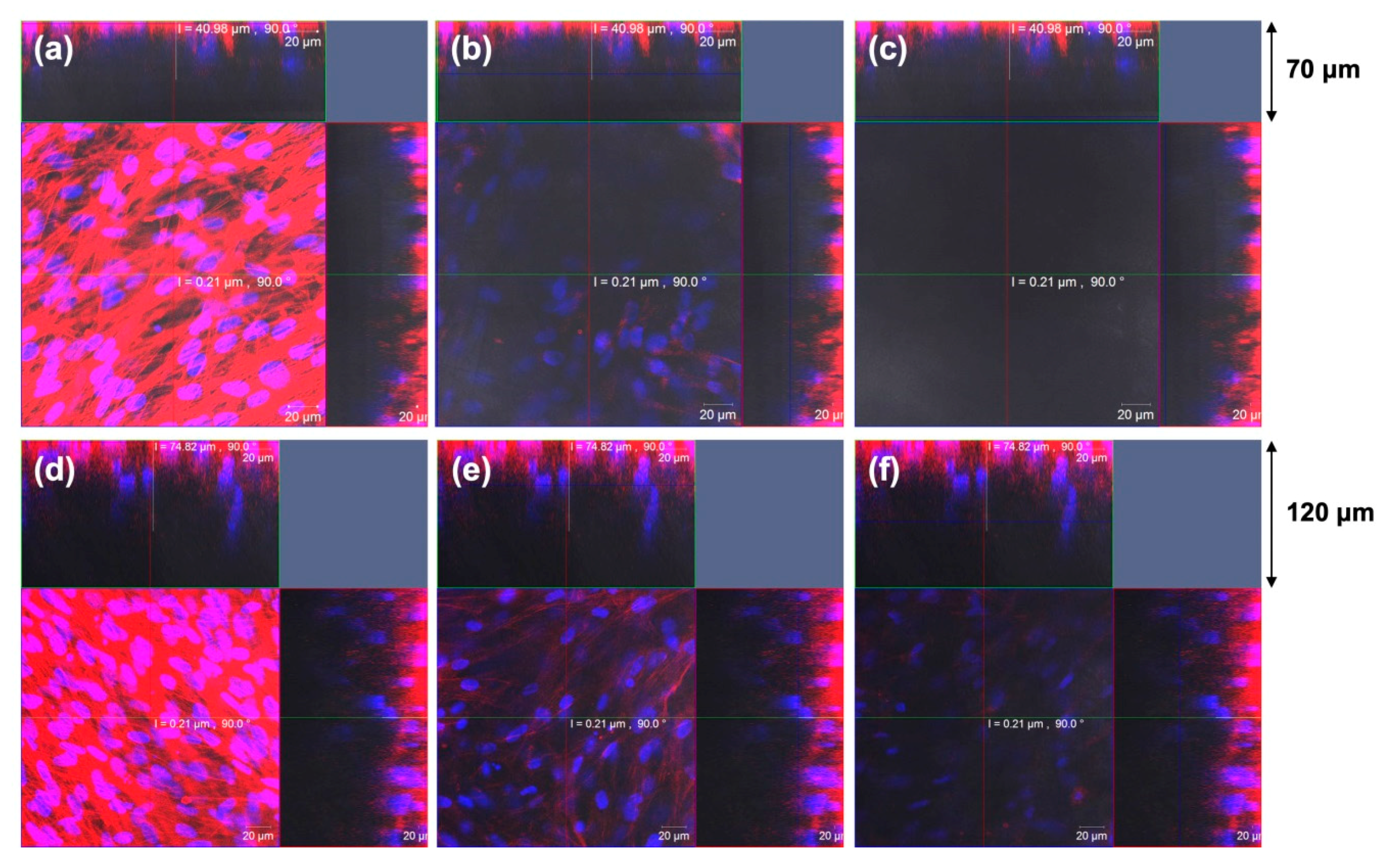 Bioengineering 07 00119 g004