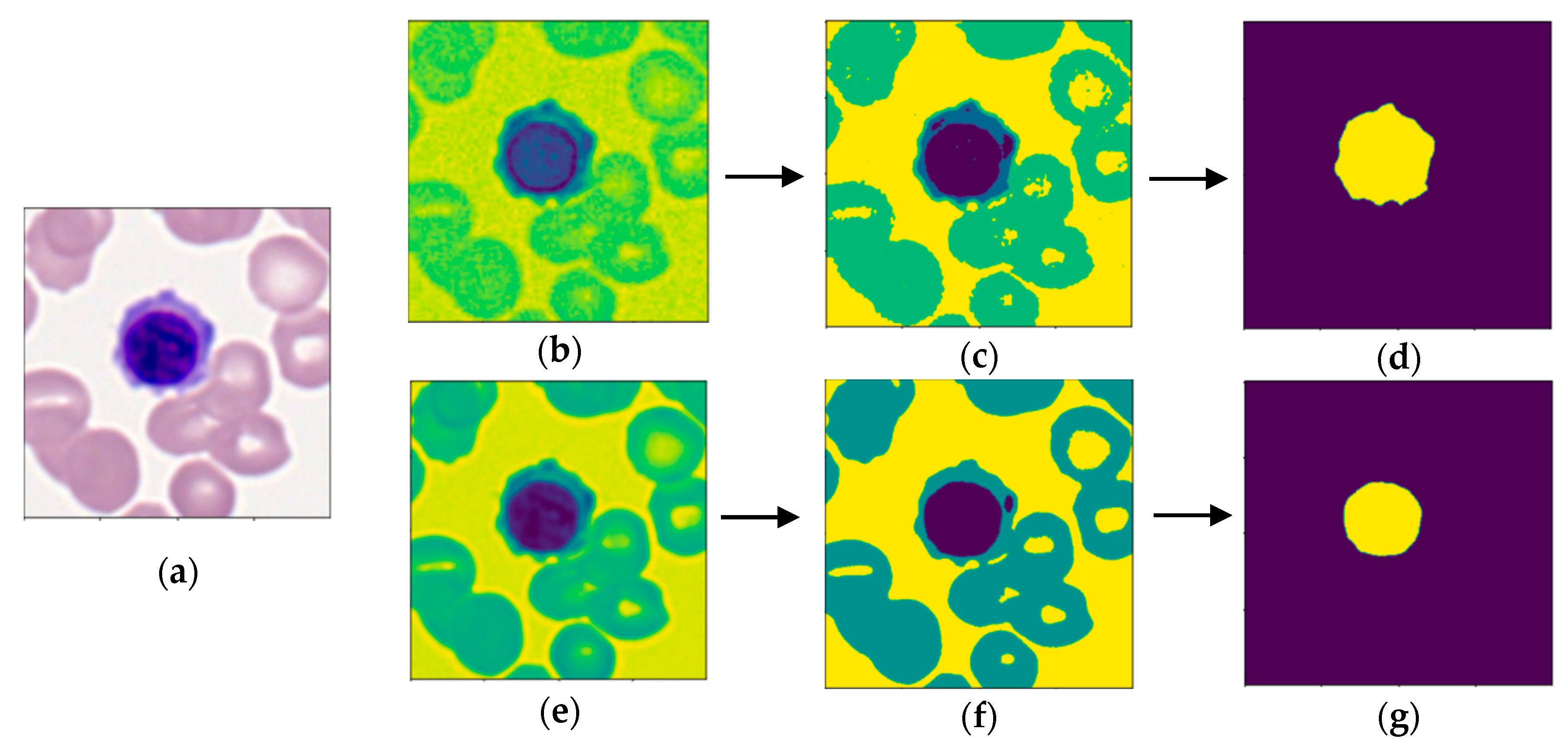 Bioengineering 07 00120 g002