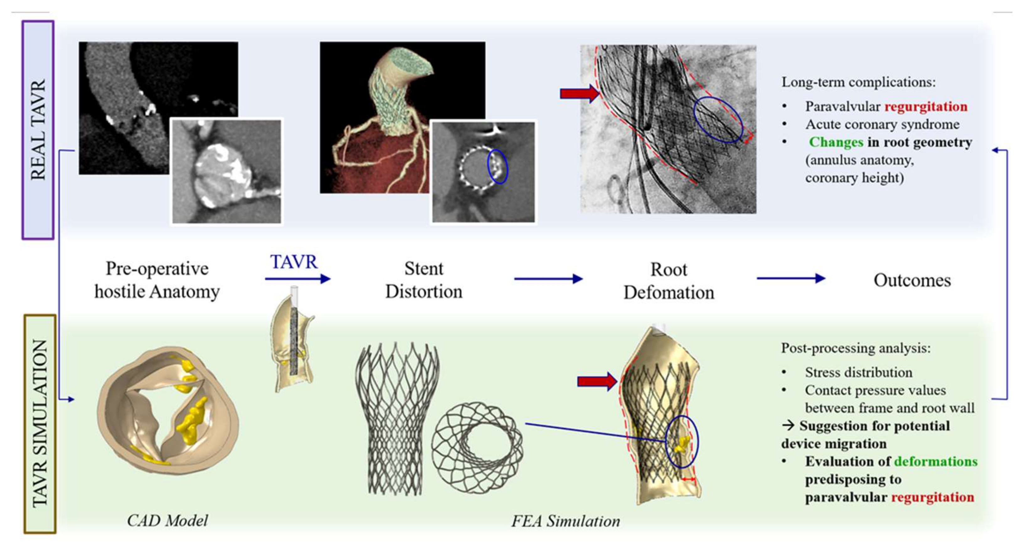 Bioengineering 07 00121 g001 Bioengineering 07 00121 g001