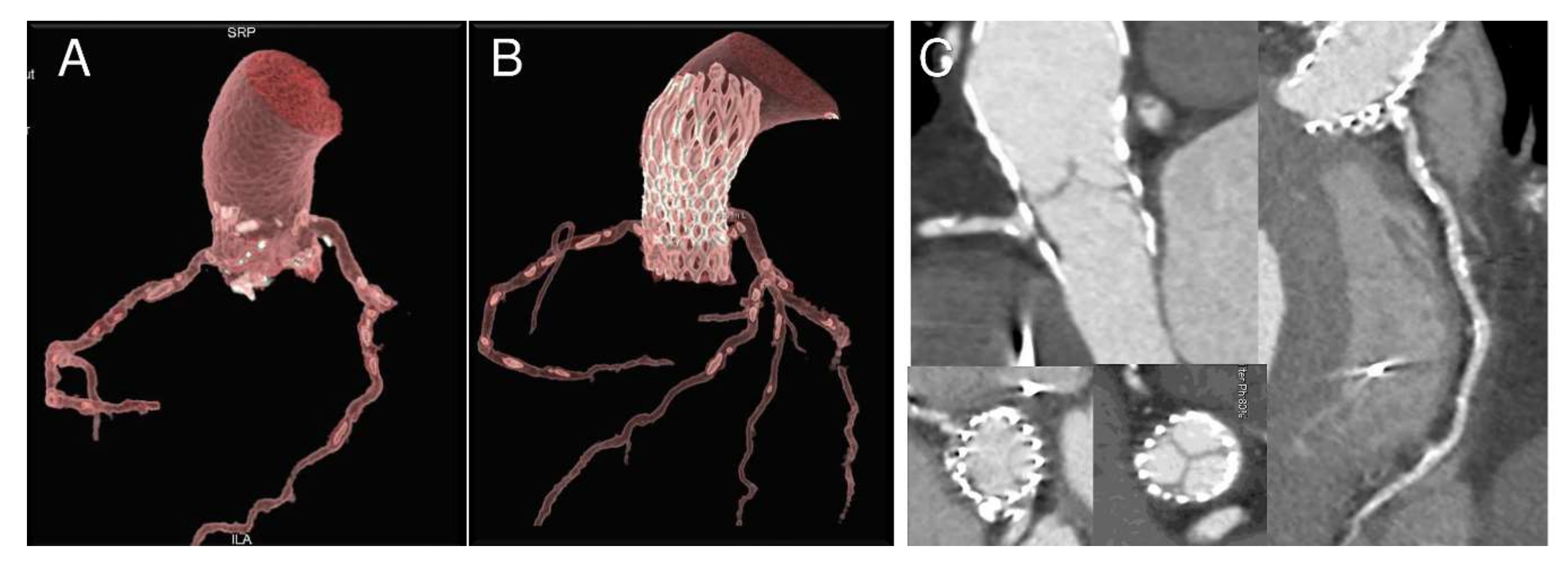 Bioengineering 07 00121 g003 Bioengineering 07 00121 g003