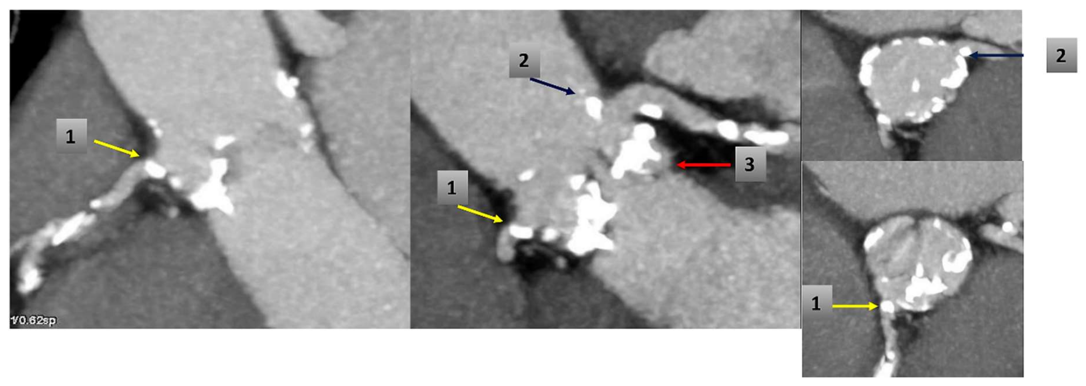 Bioengineering 07 00121 g004 Bioengineering 07 00121 g004