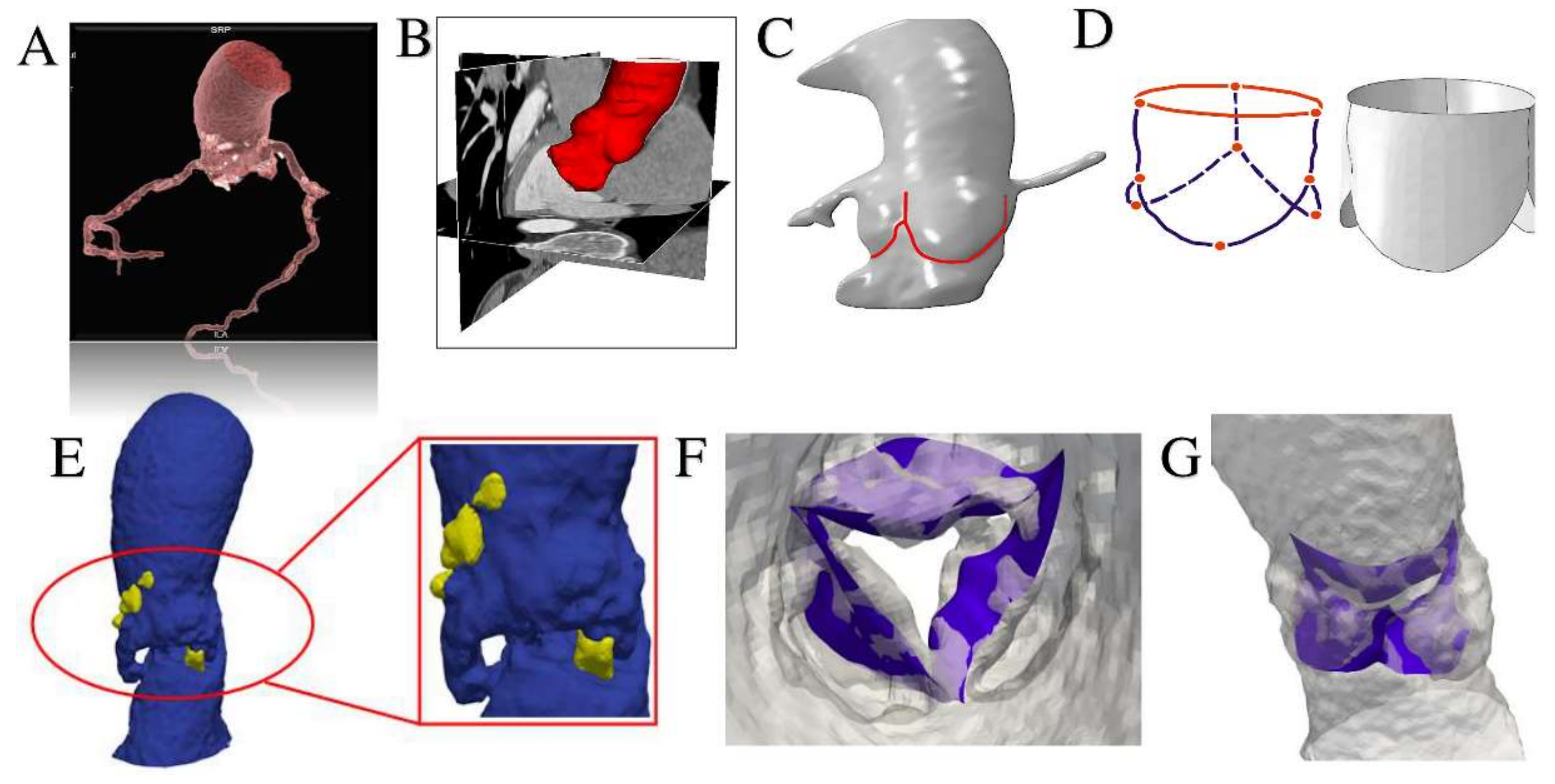 Bioengineering 07 00121 g005 Bioengineering 07 00121 g005