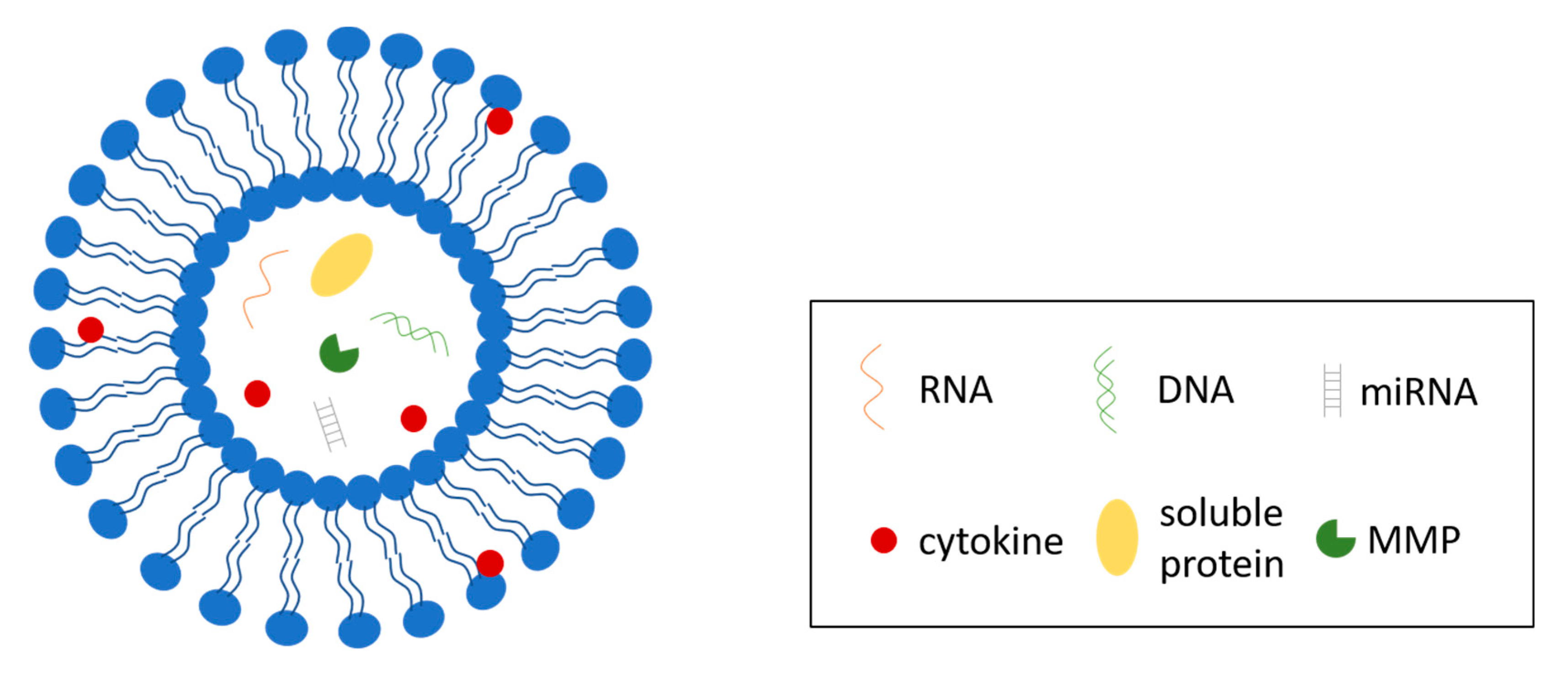 Bioengineering 07 00124 g002 Bioengineering 07 00124 g002