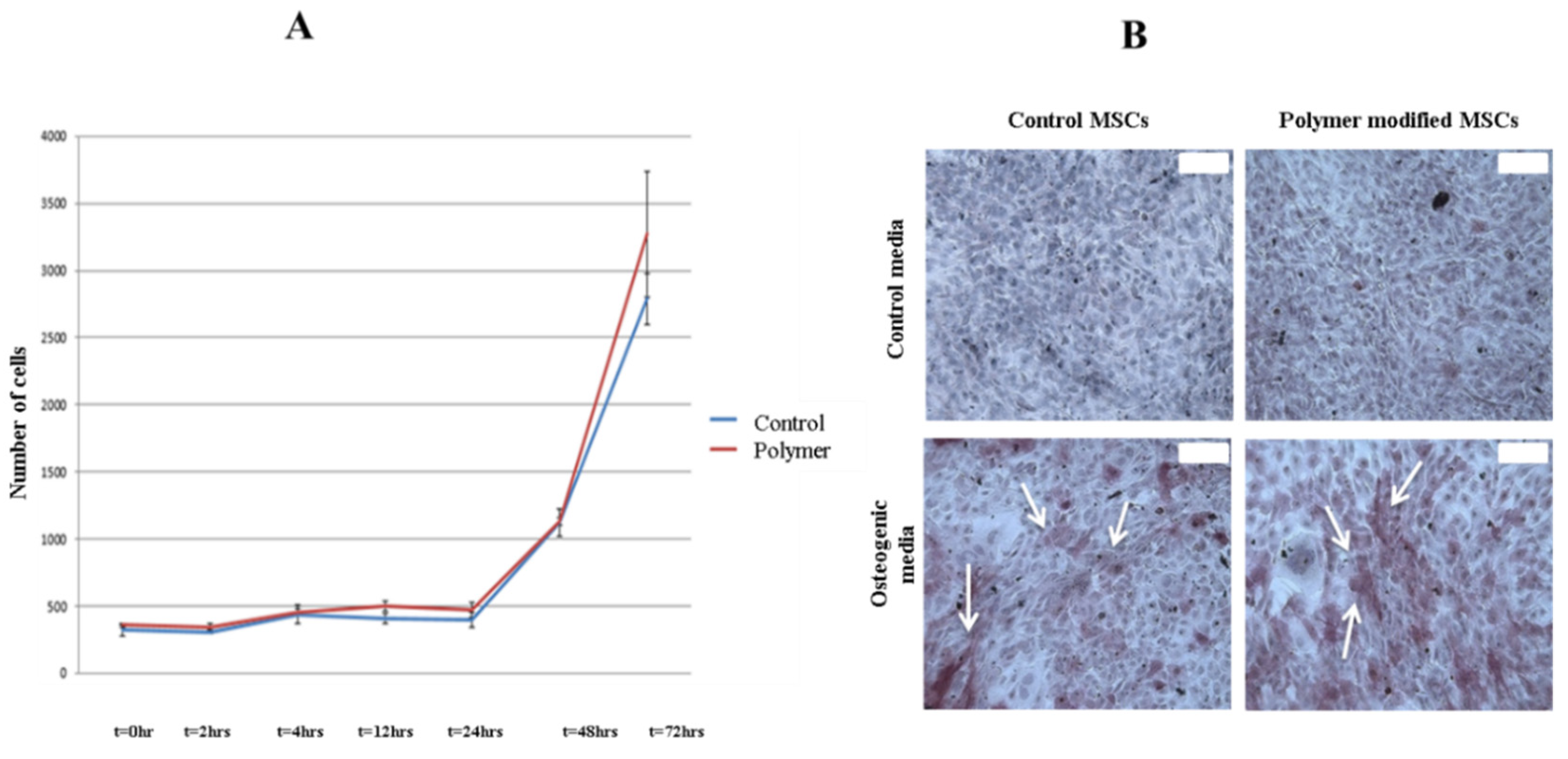 Bioengineering 07 00125 g003