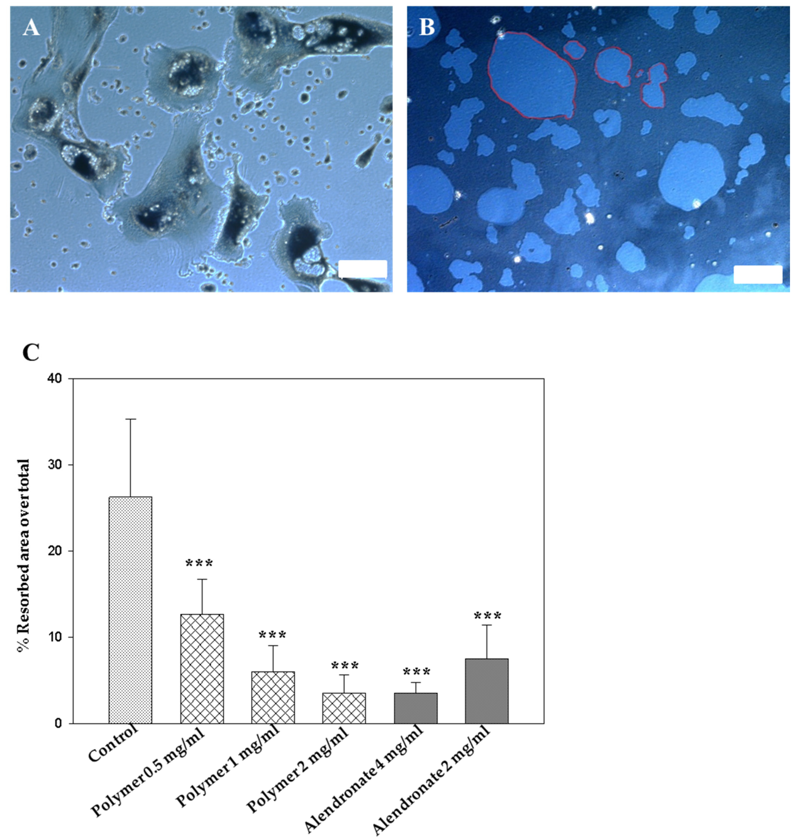 Bioengineering 07 00125 g004