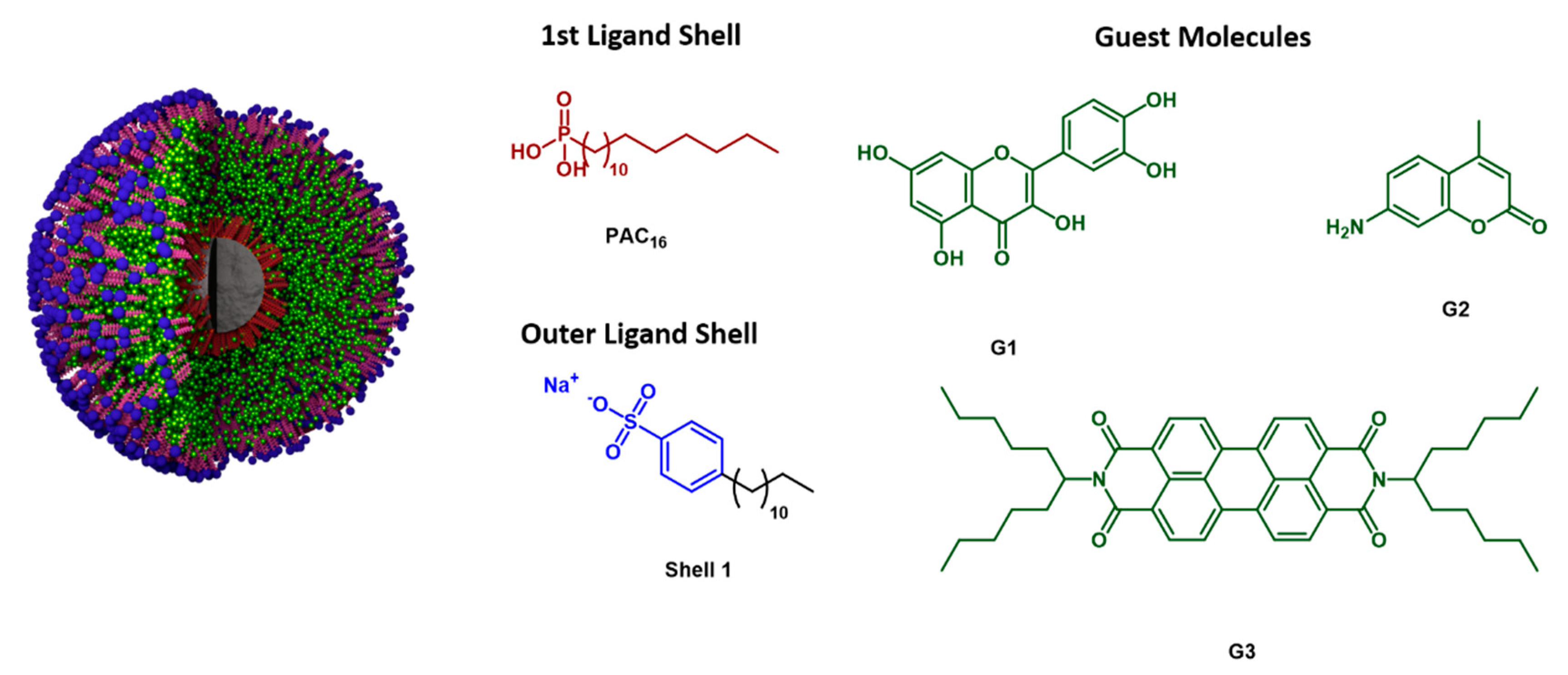 Bioengineering 07 00126 g001 Bioengineering 07 00126 g001
